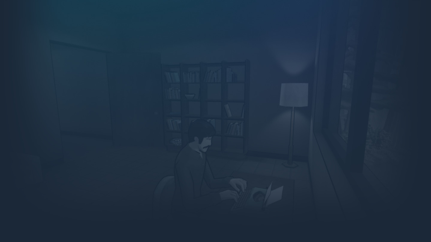 The Novelist cover image