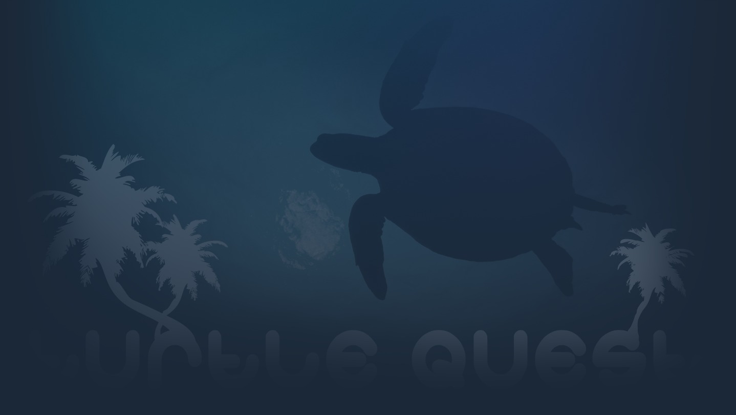 Turtle Quest cover image