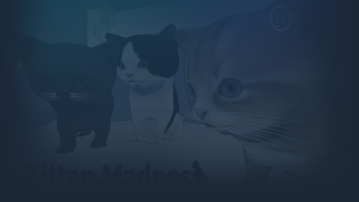 Kitten Madness cover image