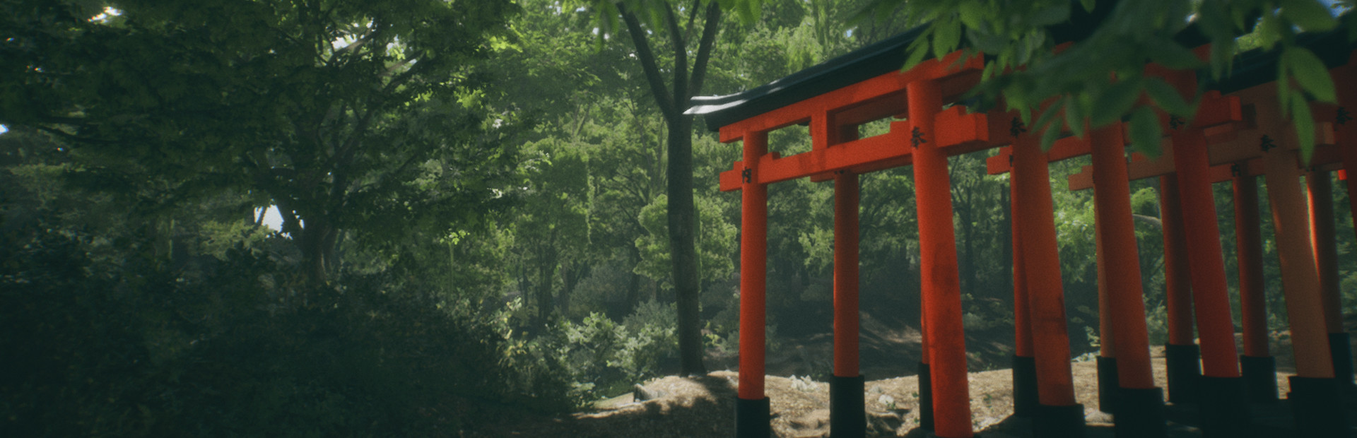 Explore Fushimi Inari cover image