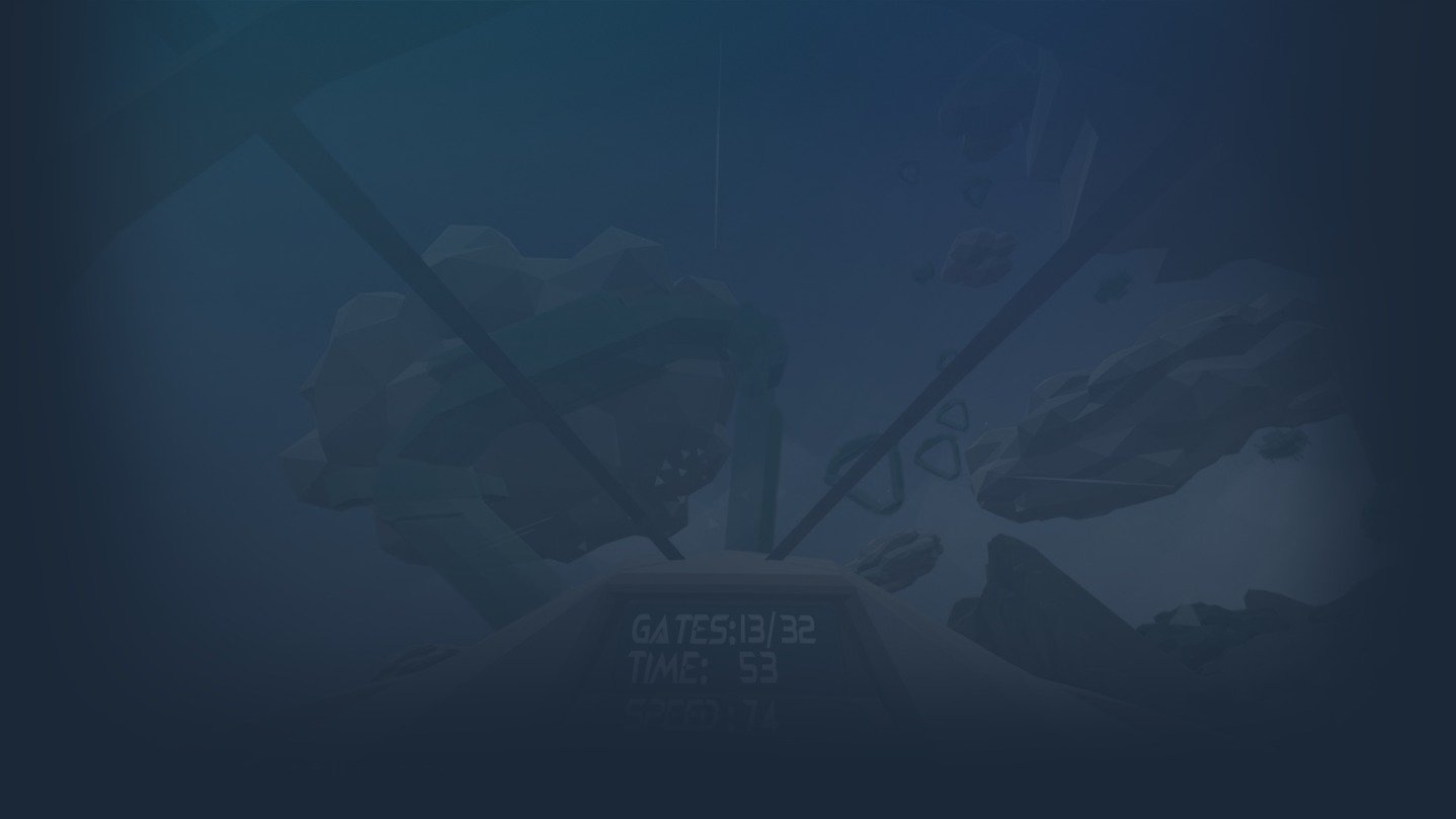 Faceted Flight cover image