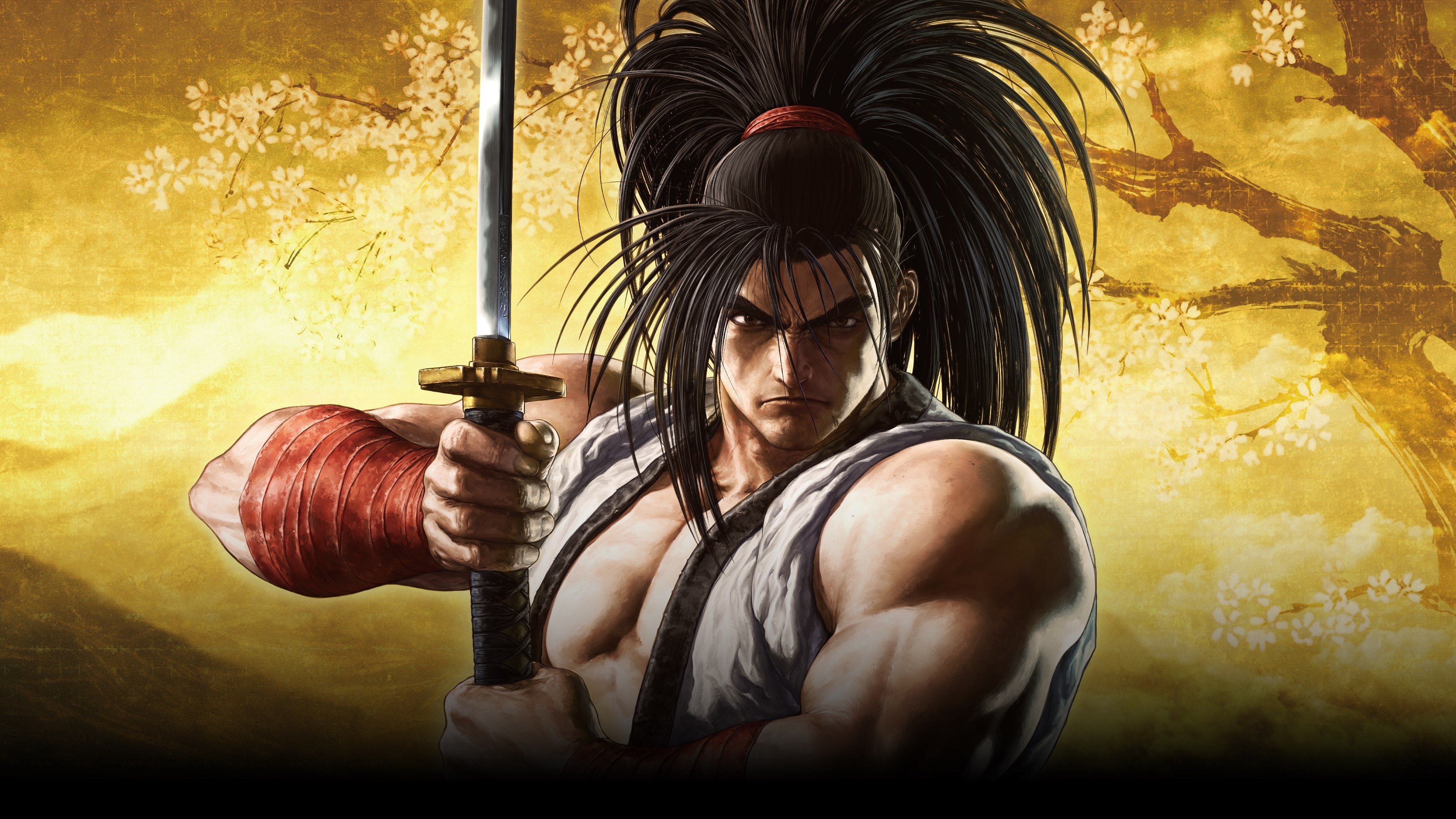 SAMURAI SHODOWN cover image