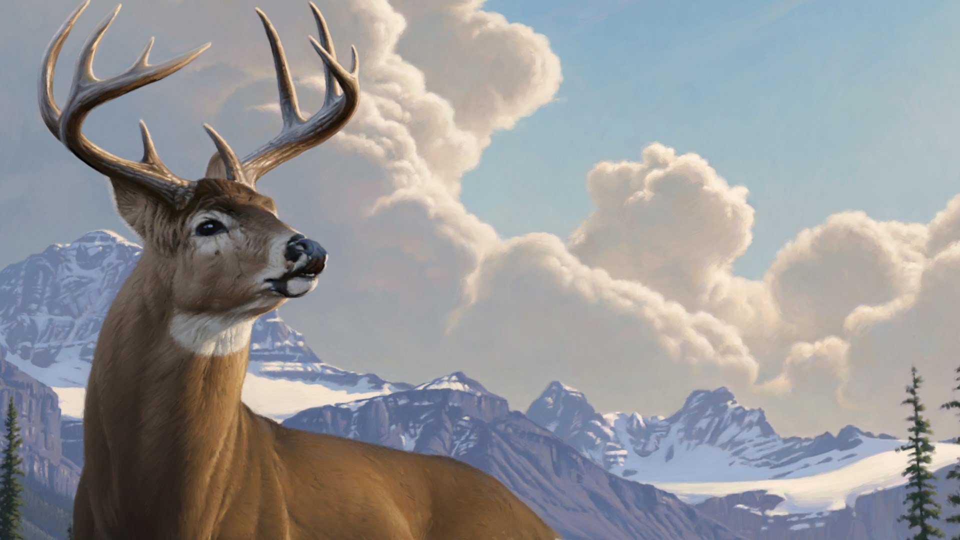 Deer Hunter: Reloaded cover image