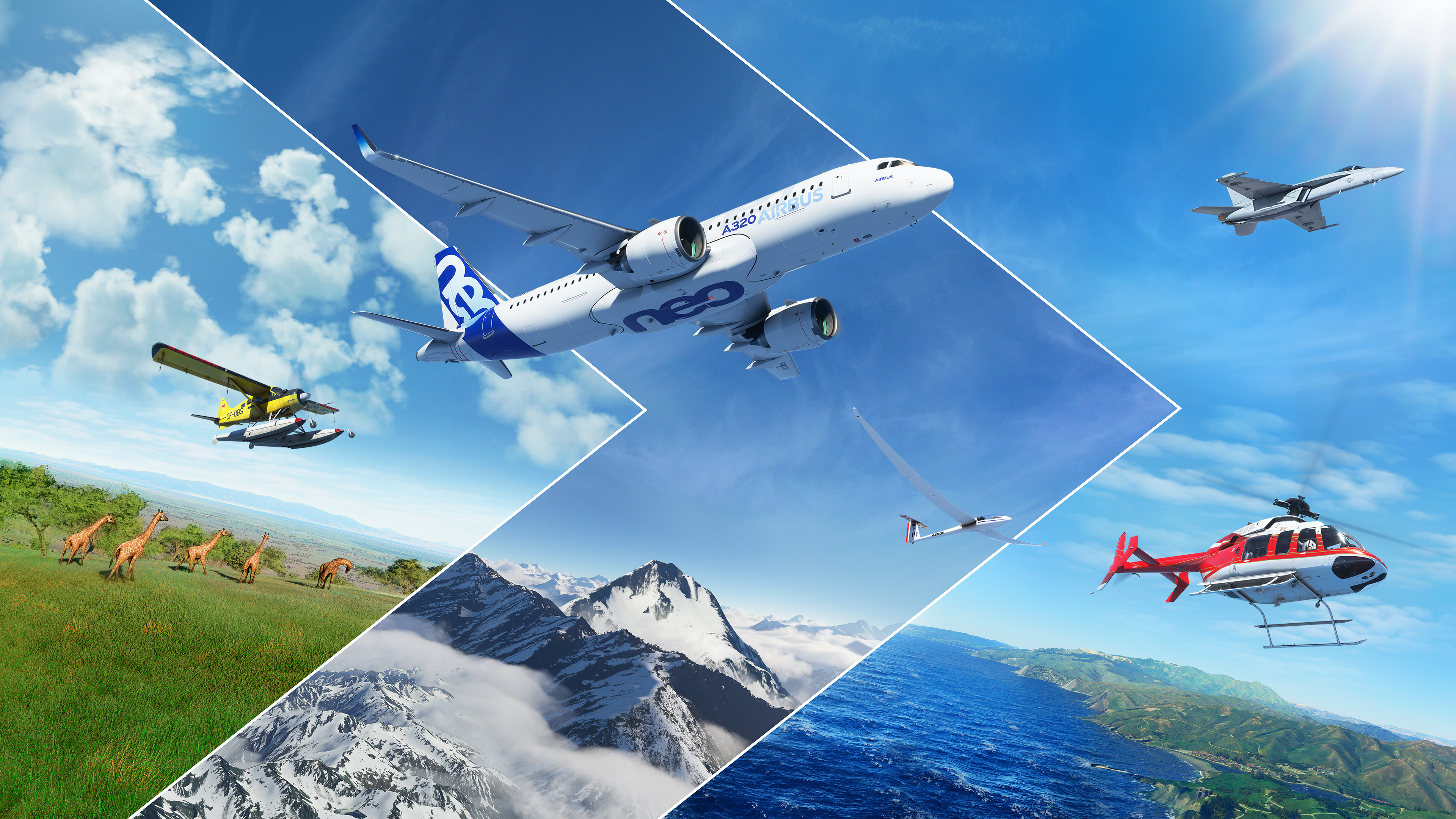 Microsoft Flight Simulator cover image