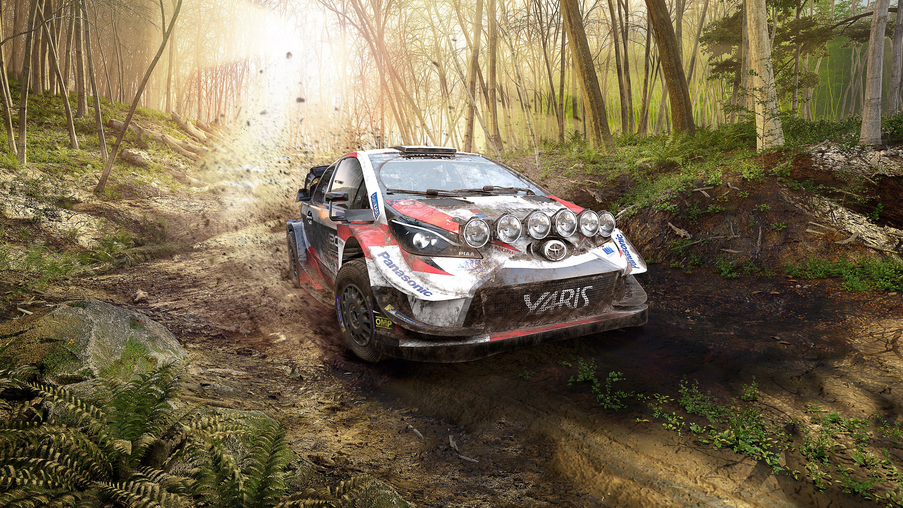 WRC 9 FIA World Rally Championship cover image