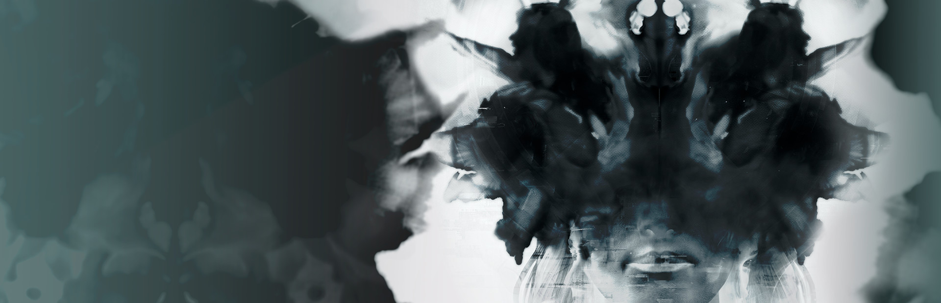 The Signifier Director's Cut cover image
