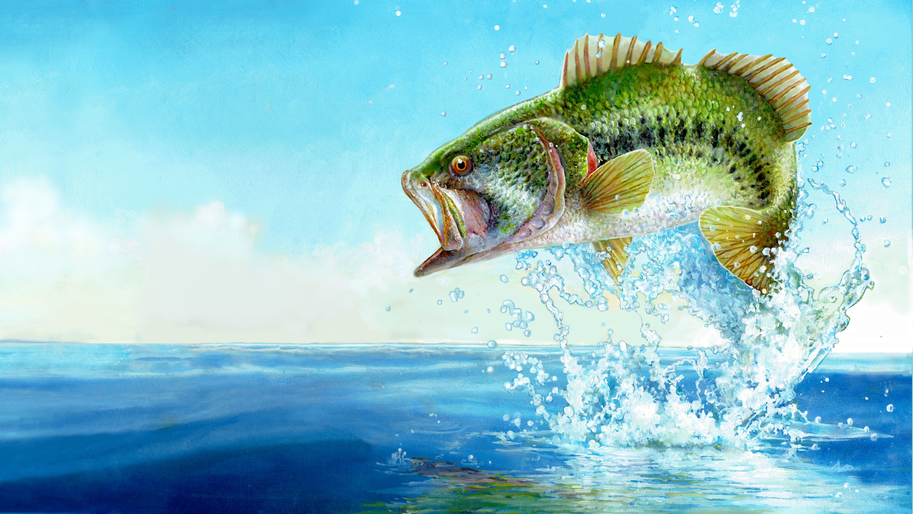 Fishing Sim World: Bass Pro Shops Edition cover image