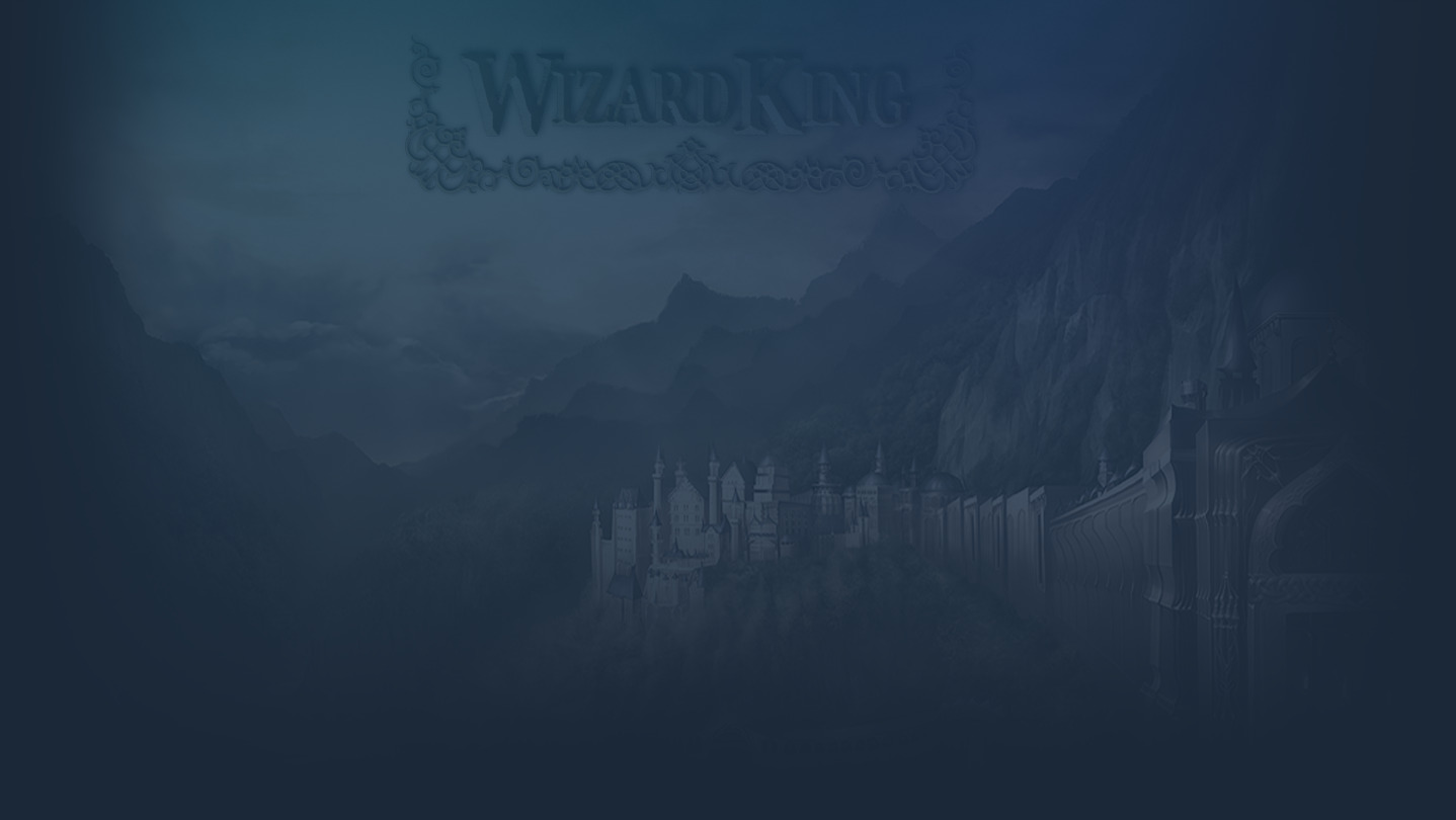 Wizard King cover image