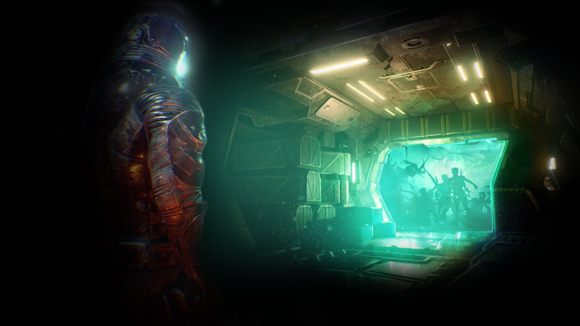 Hollow cover image