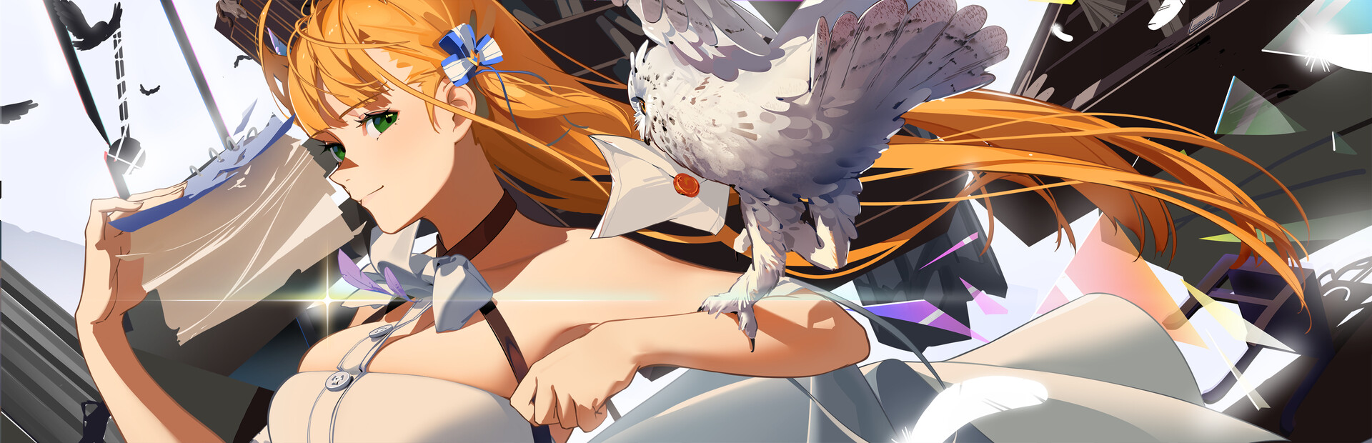 Criminal Dissidia cover image