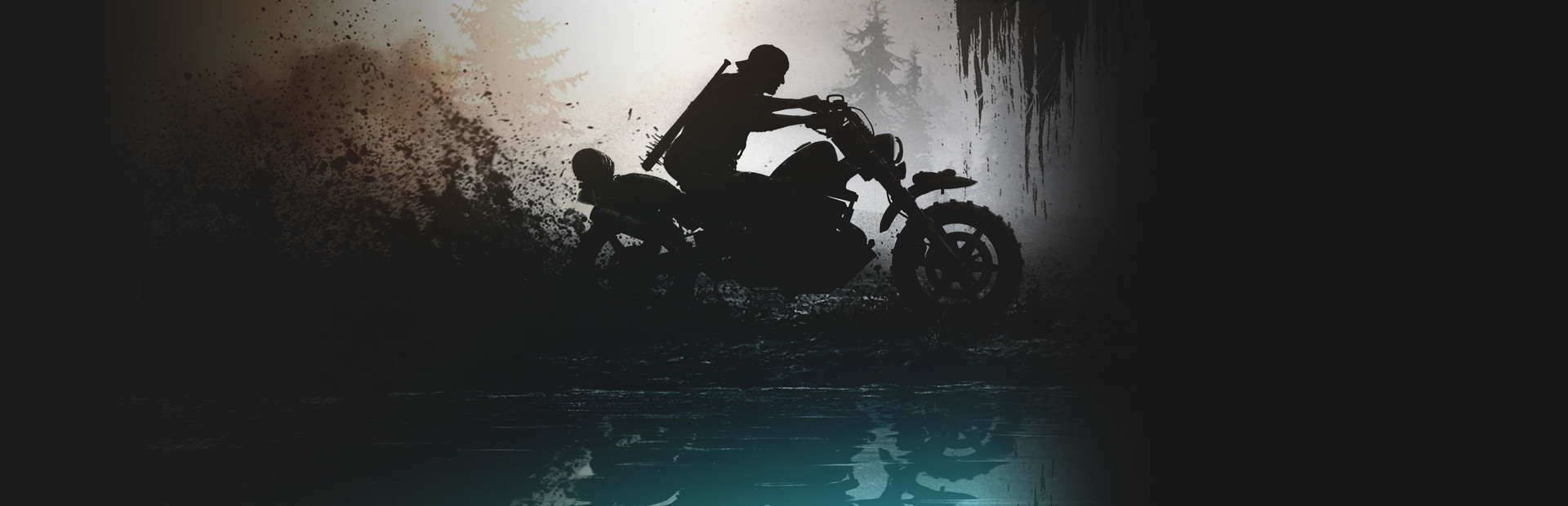 Days Gone cover image