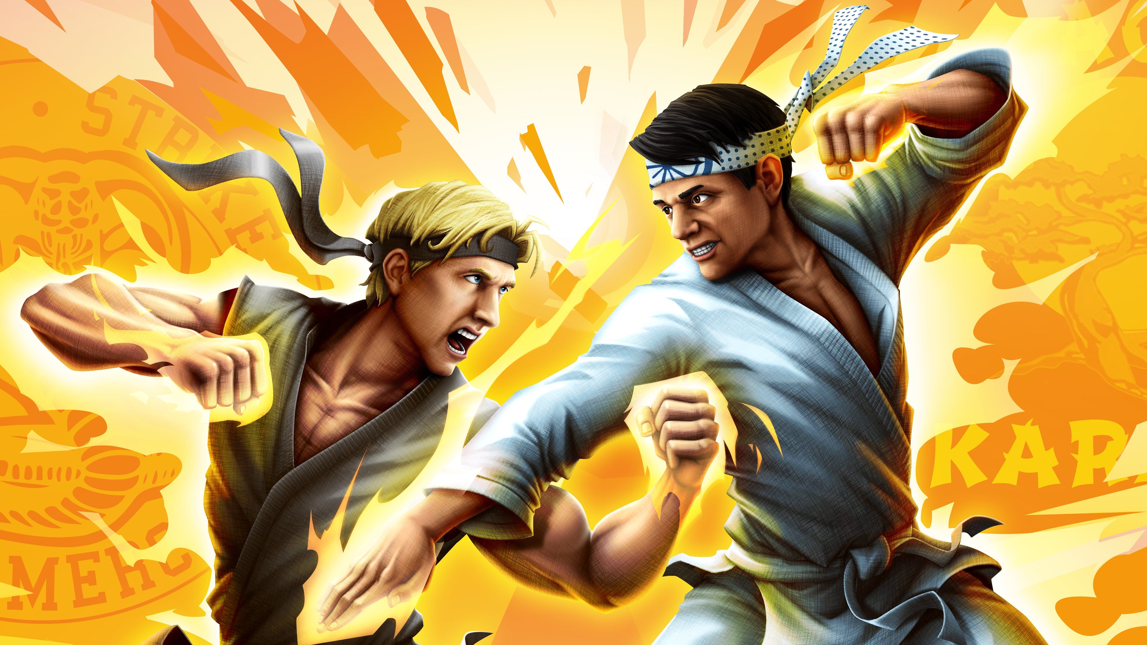 Cobra Kai: The Karate Kid Saga Continues cover image