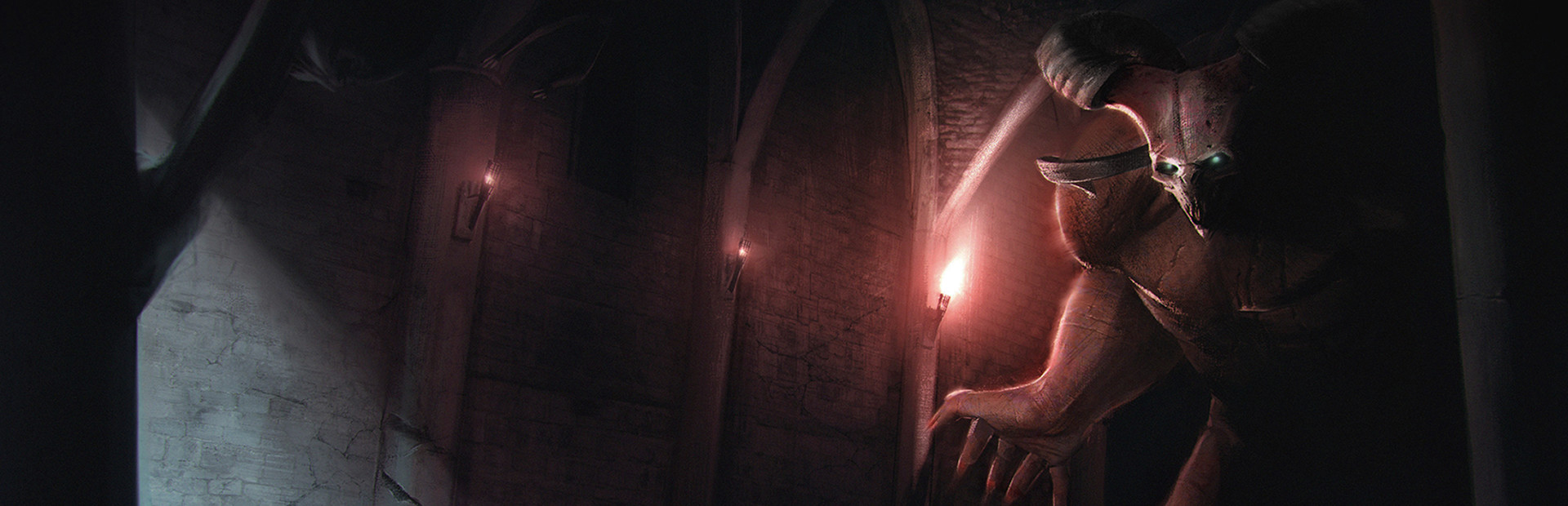 Anima : The Reign of Darkness cover image