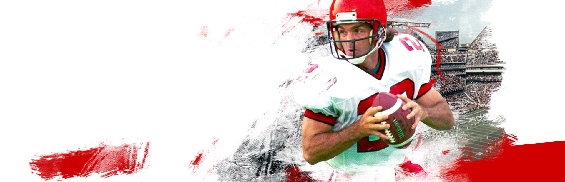 Doug Flutie's Maximum Football 2020 cover image