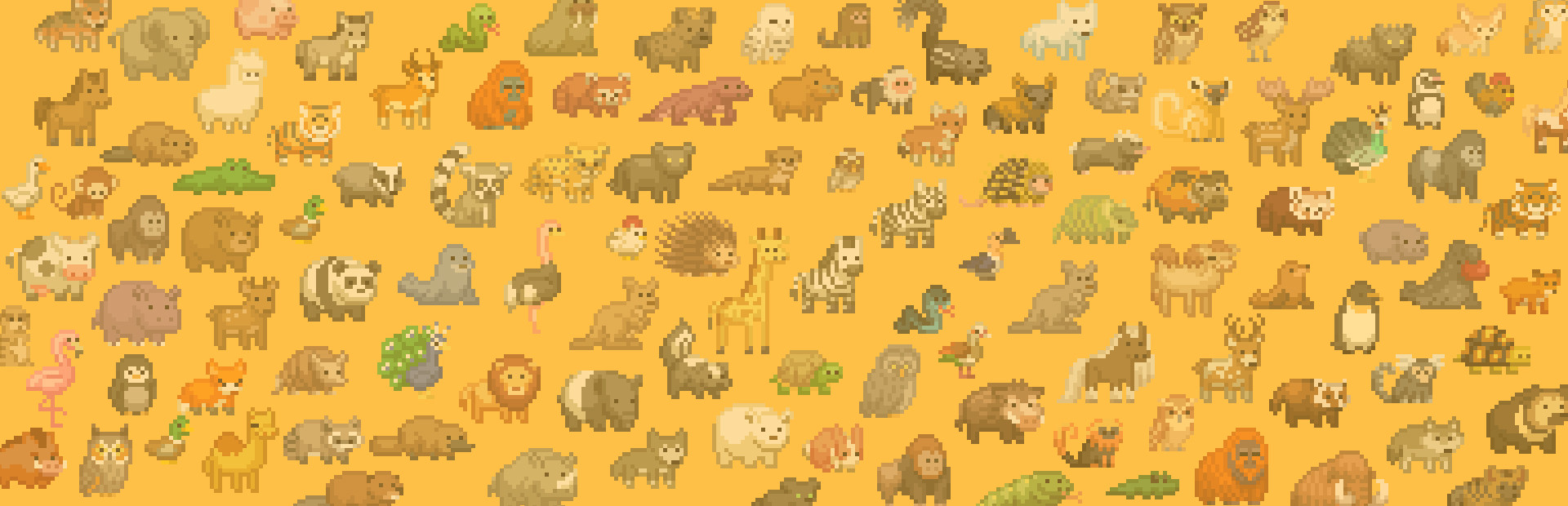 Let's Build a Zoo cover image