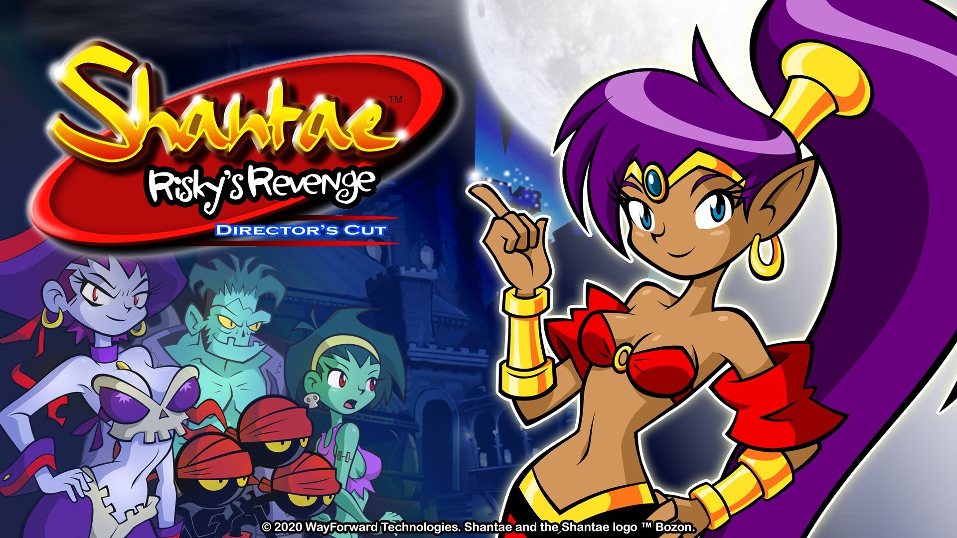 Shantae: Risky's Revenge cover image