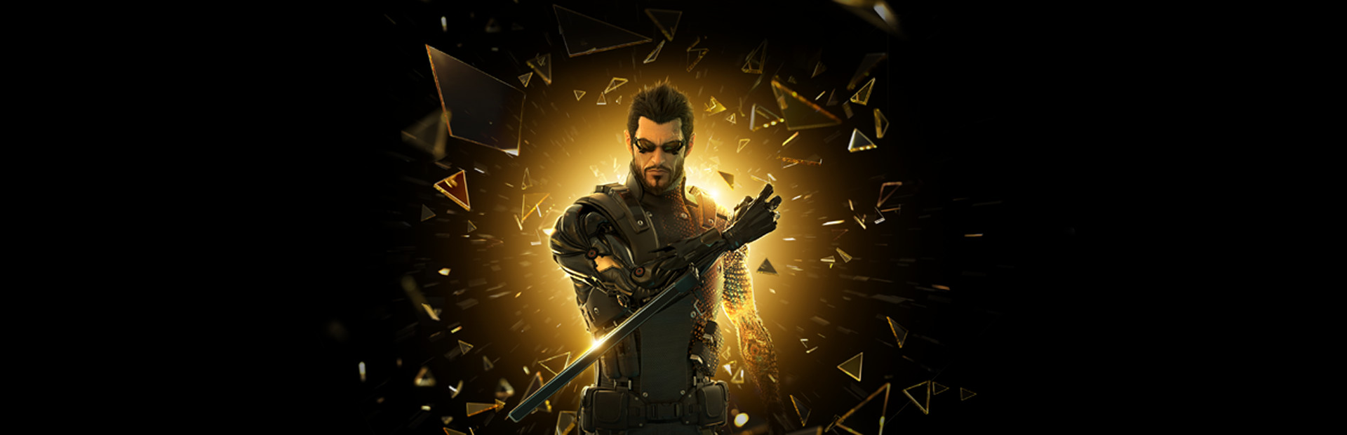 Deus Ex: Human Revolution - Director's Cut cover image