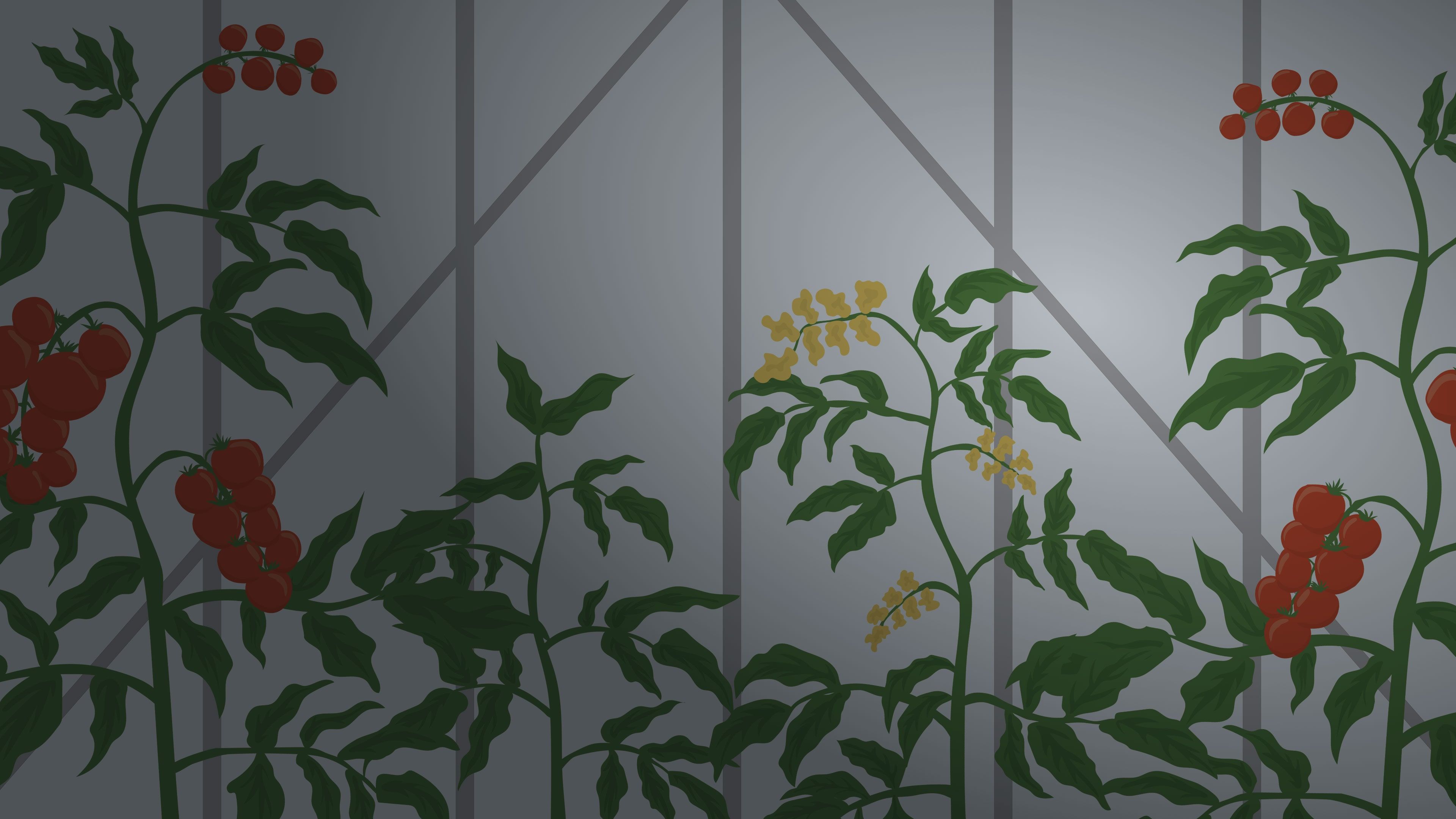 The Ketchup Story cover image