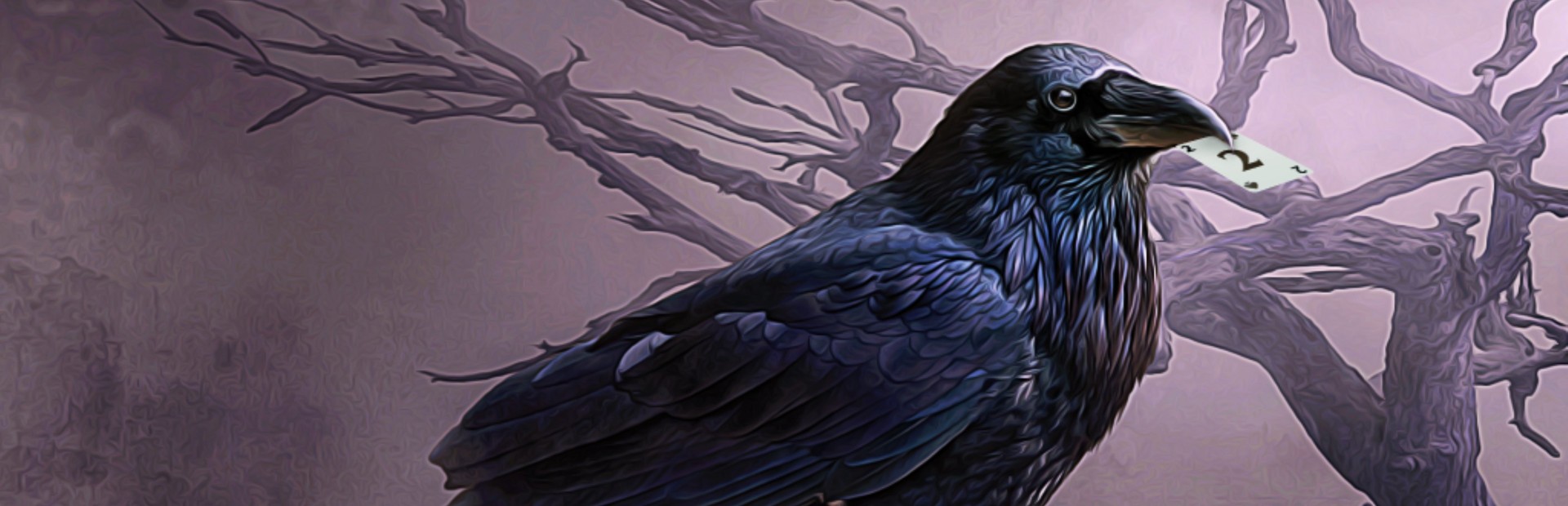 Mystery Solitaire. The Black Raven 2 cover image