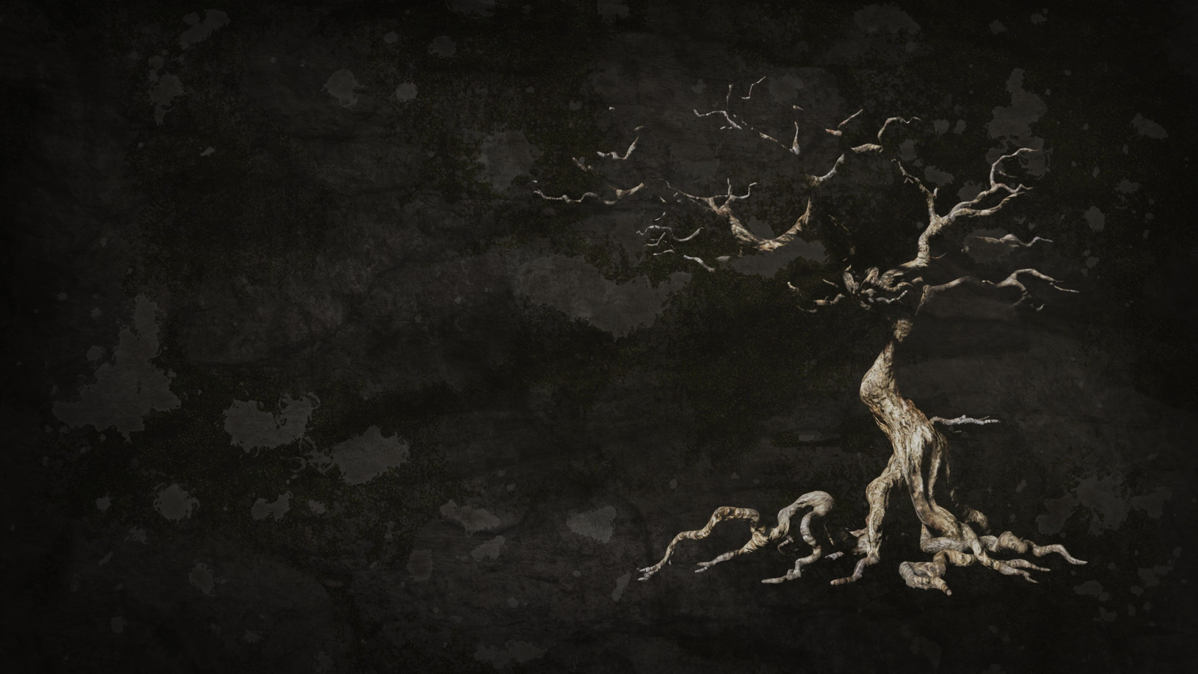 The Dead Tree of Ranchiuna cover image