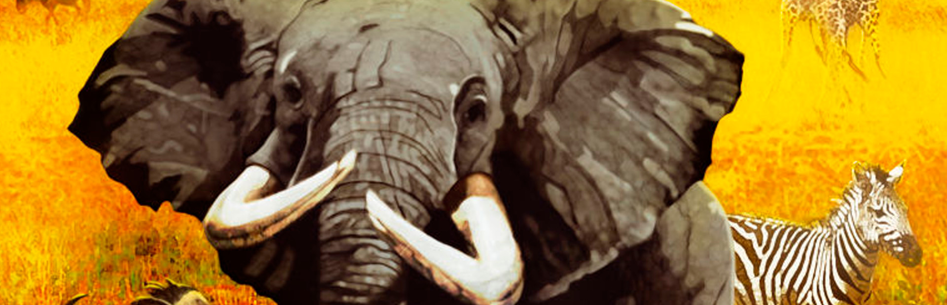Wild Earth - Africa cover image