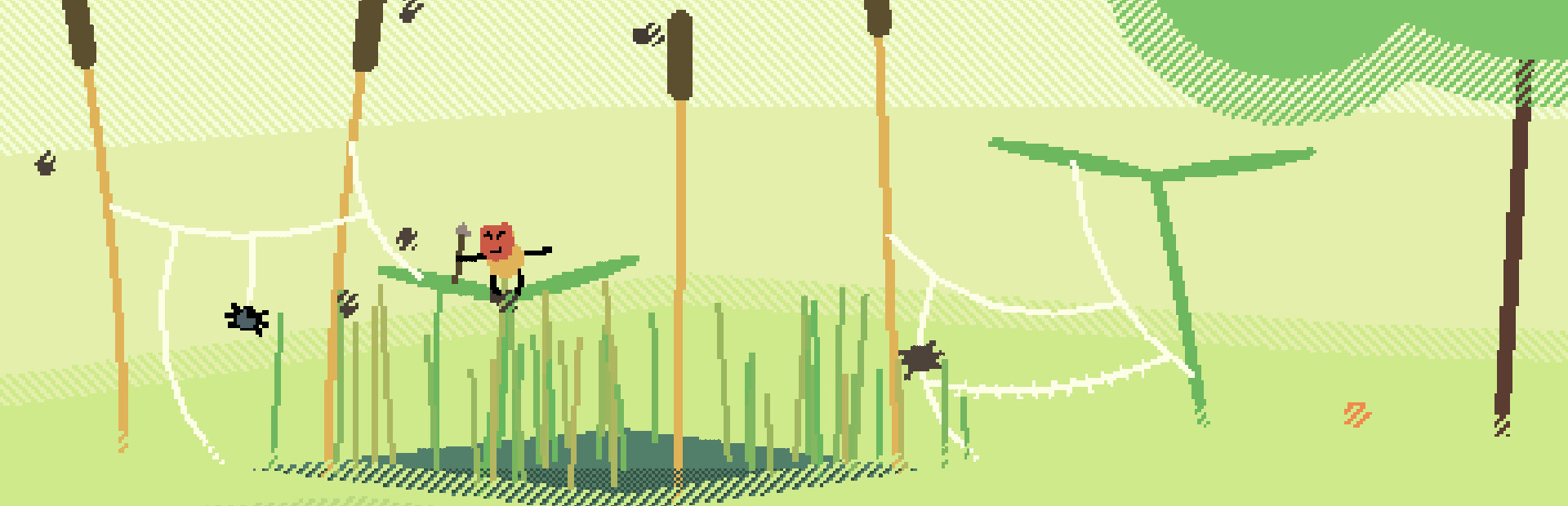spider ponds cover image