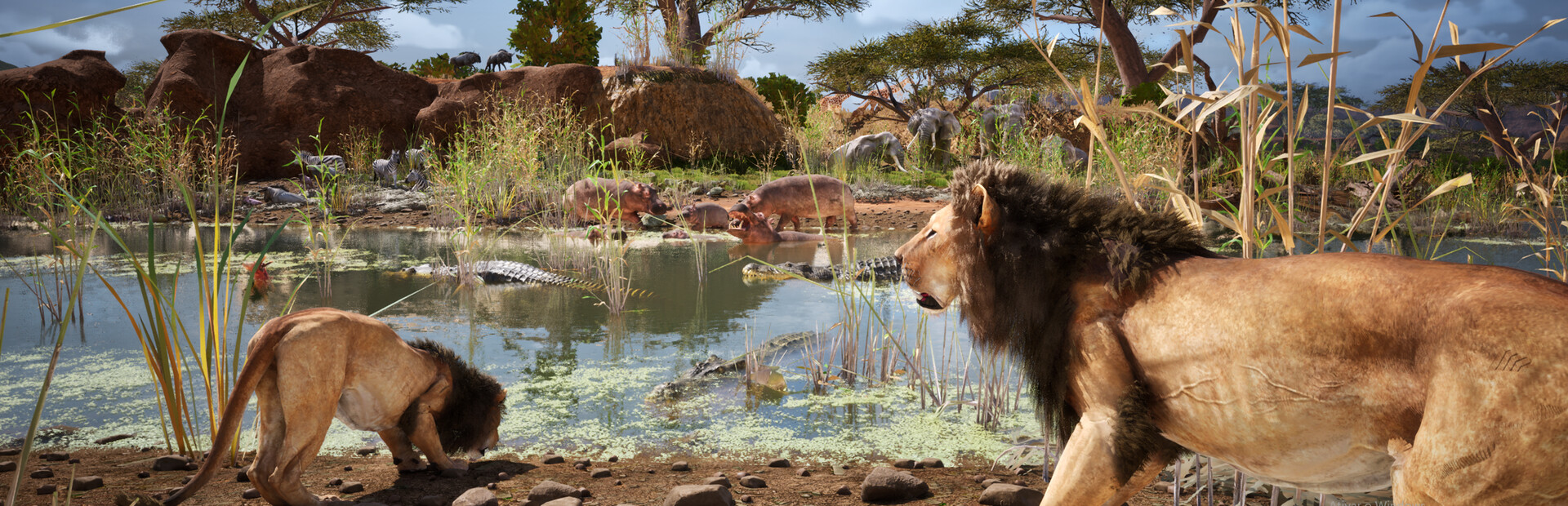 Animalia Survival cover image