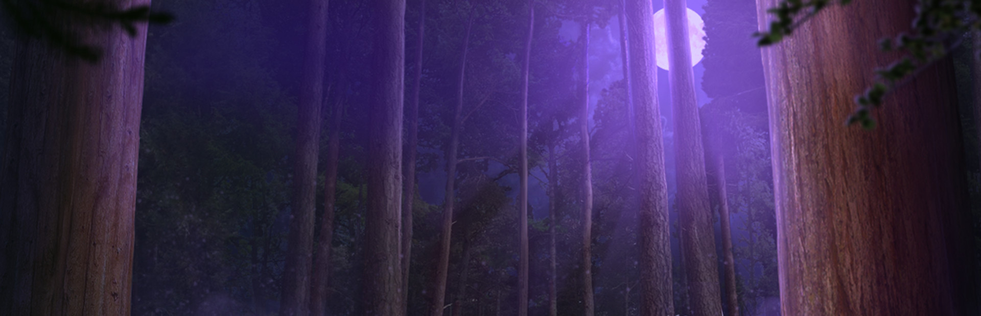 Edge of Reality: Lost Secrets of the Forest Collector's Edition cover image