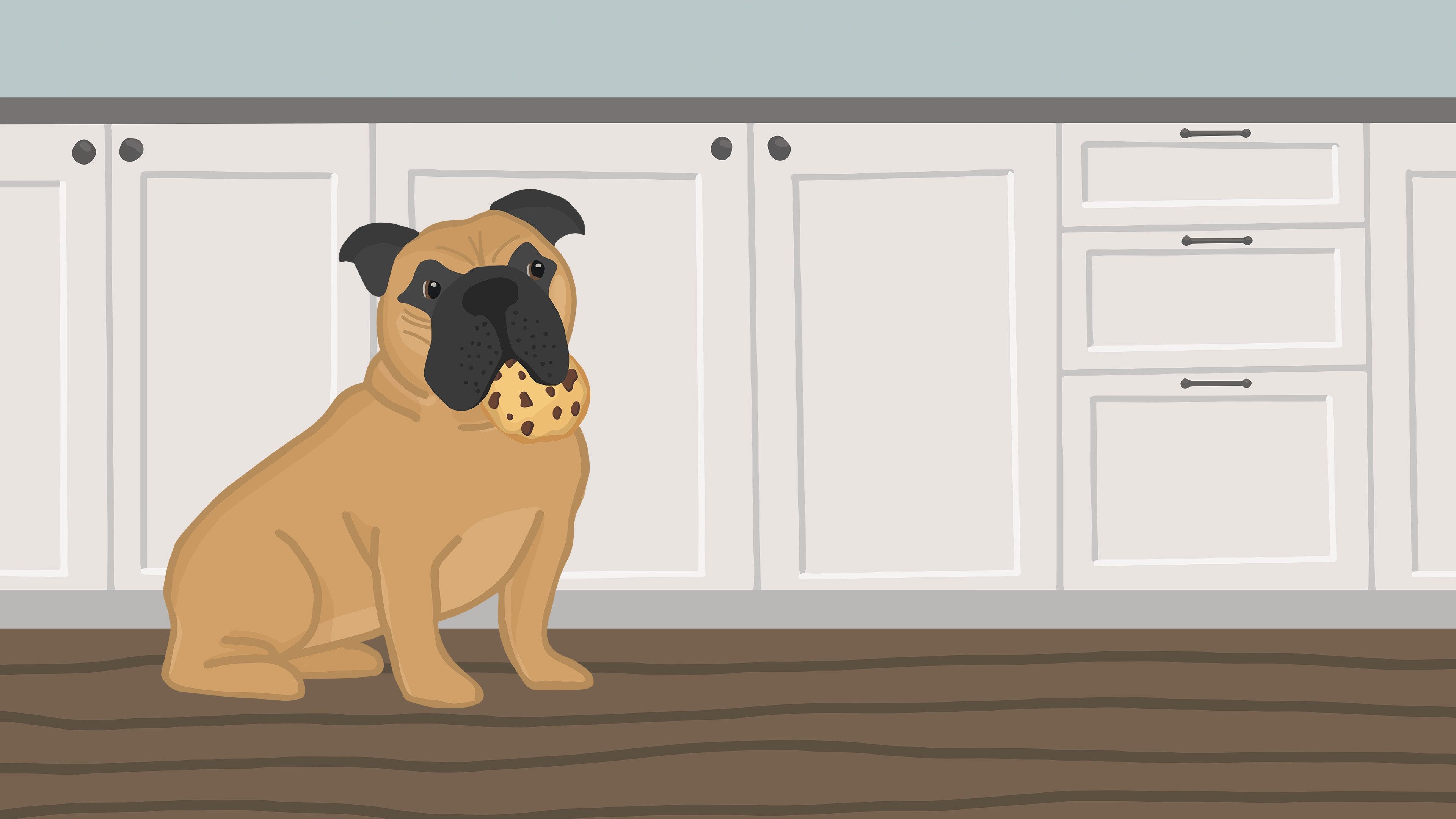 The Dog K cover image