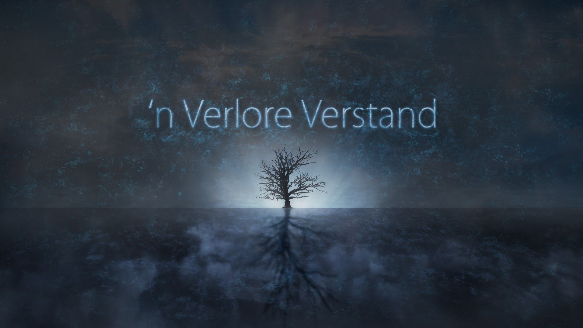 'n Verlore Verstand cover image