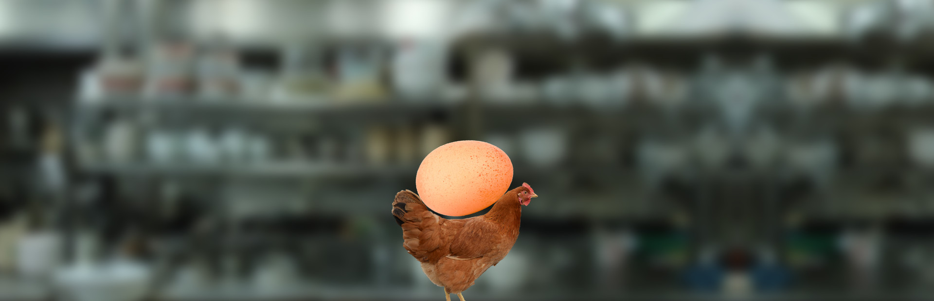 egg is broken. heart is too. cover image