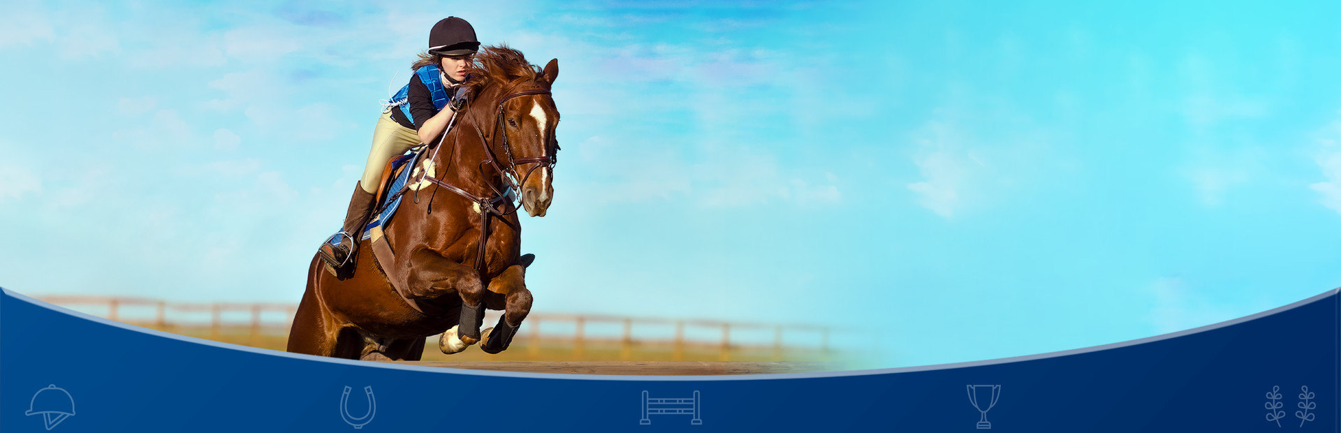 Equestrian Training  cover image
