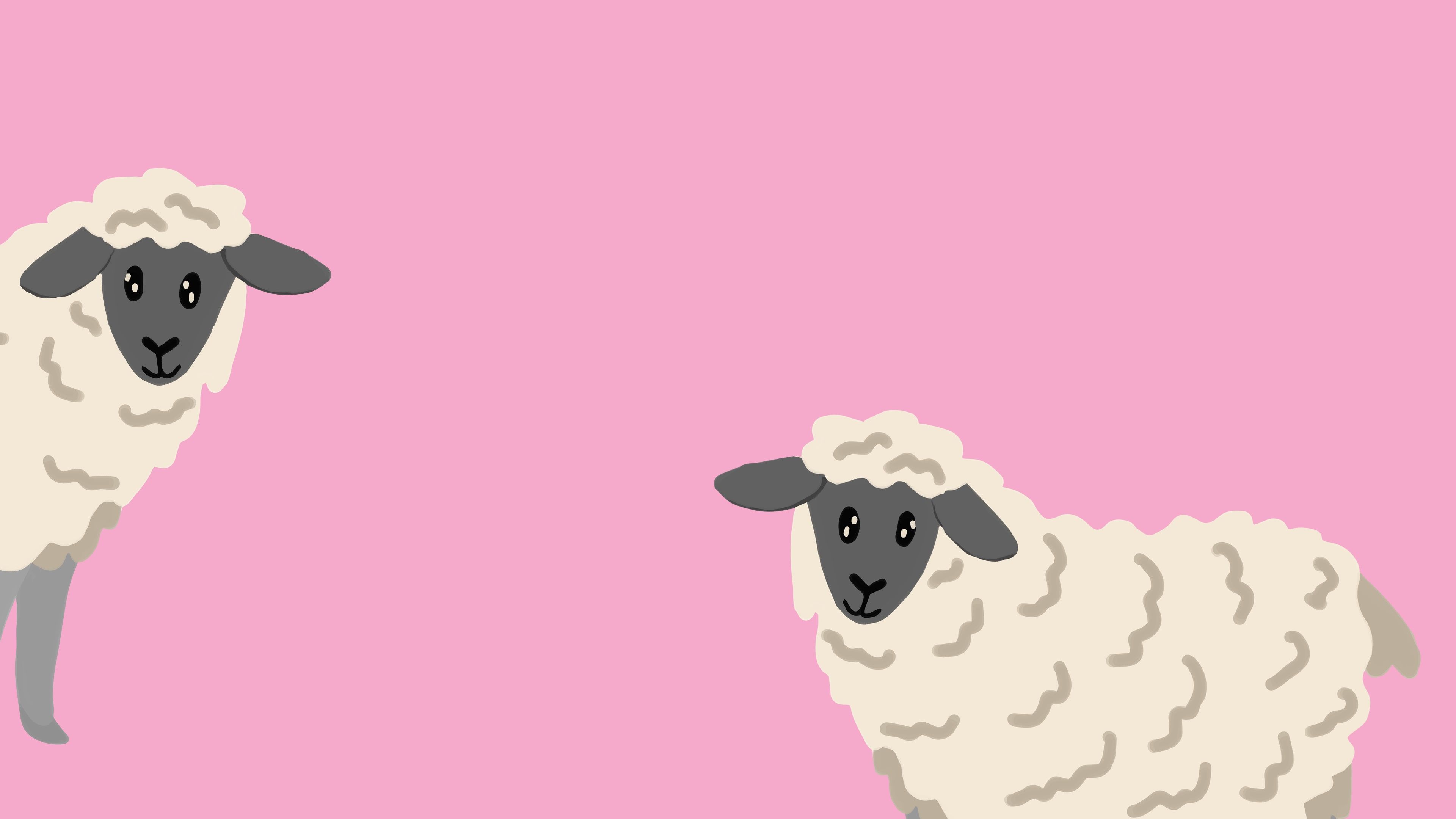 The Sheep Quiz cover image
