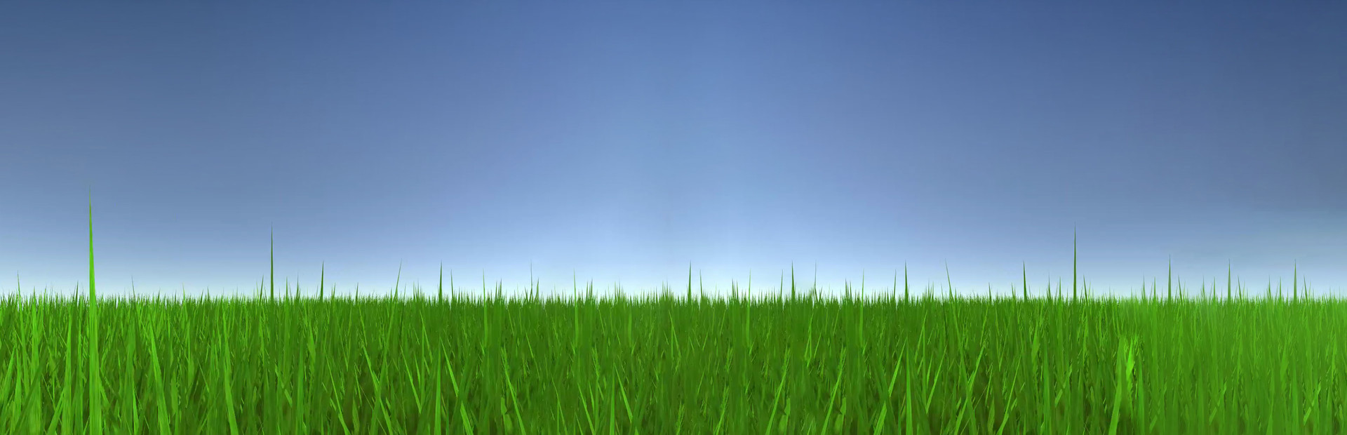 Touch Some Grass cover image