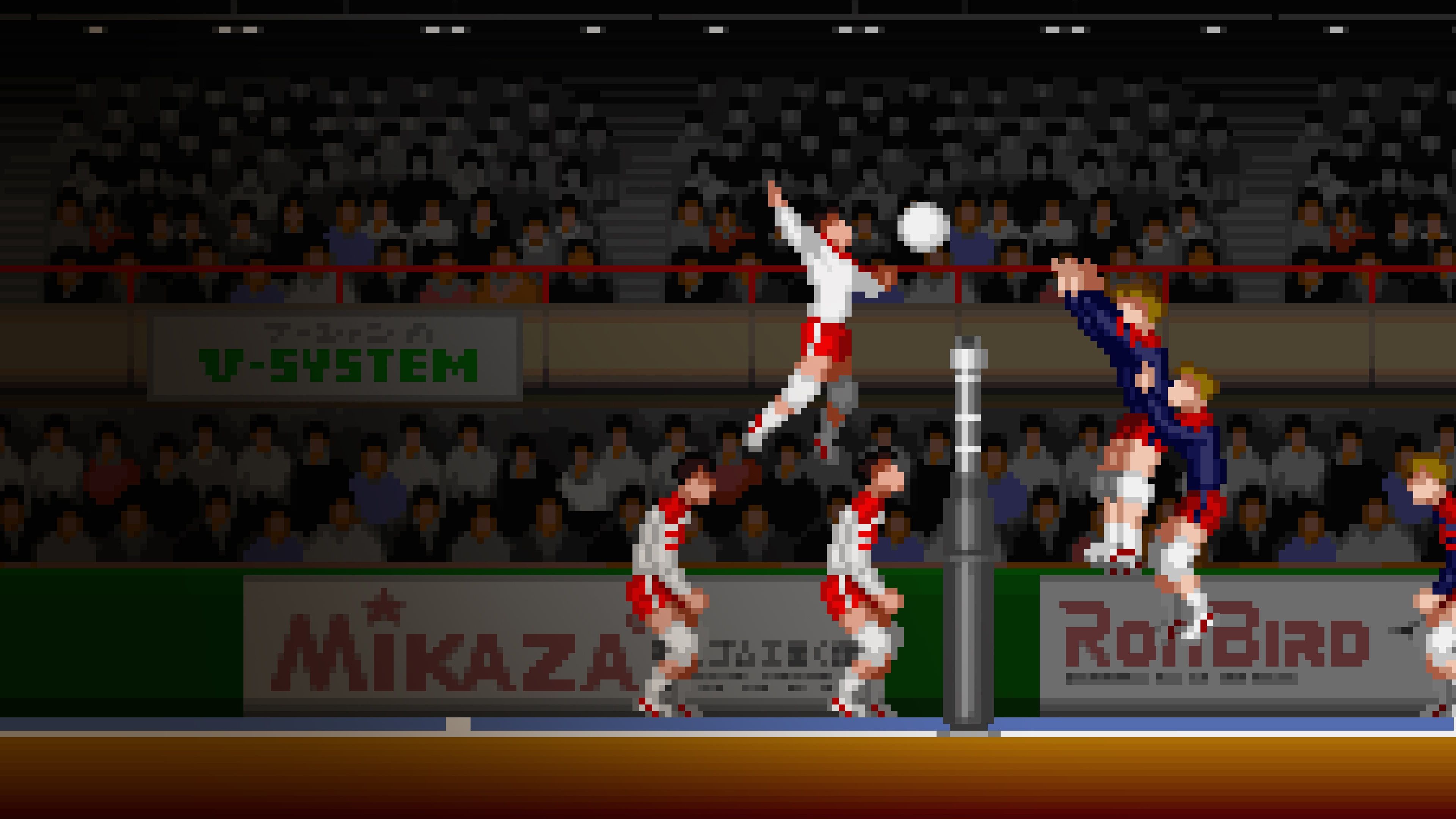 Arcade Archives Super Volleyball cover image