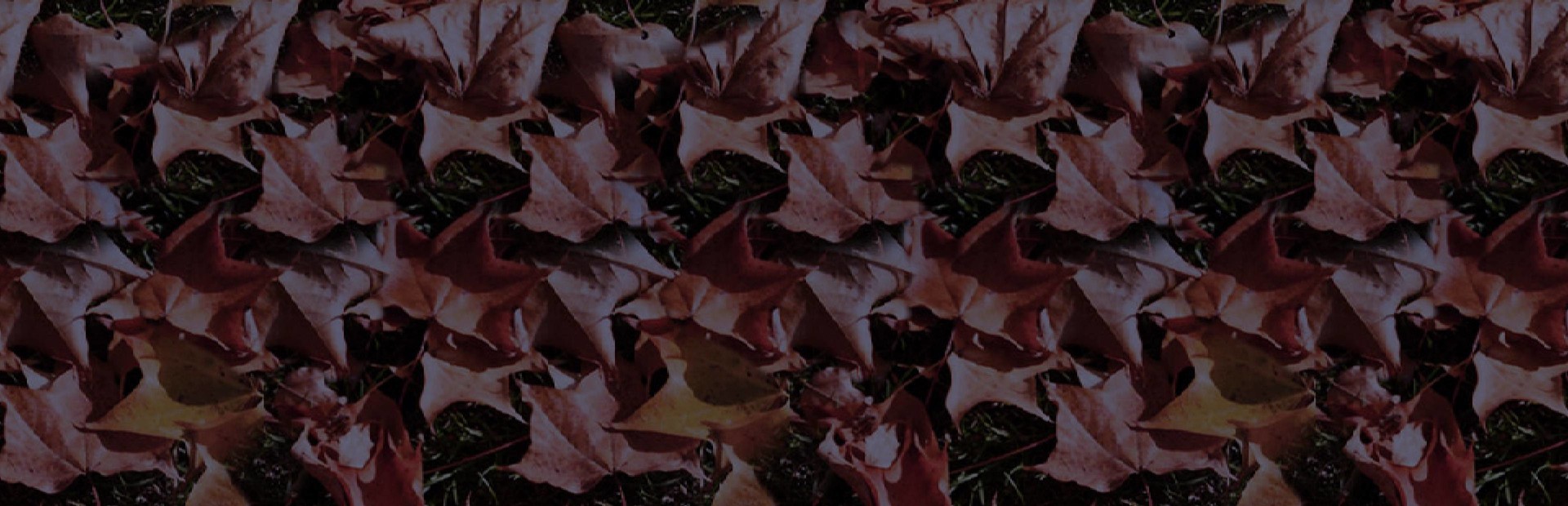 Holiday Jigsaw Halloween 3 cover image