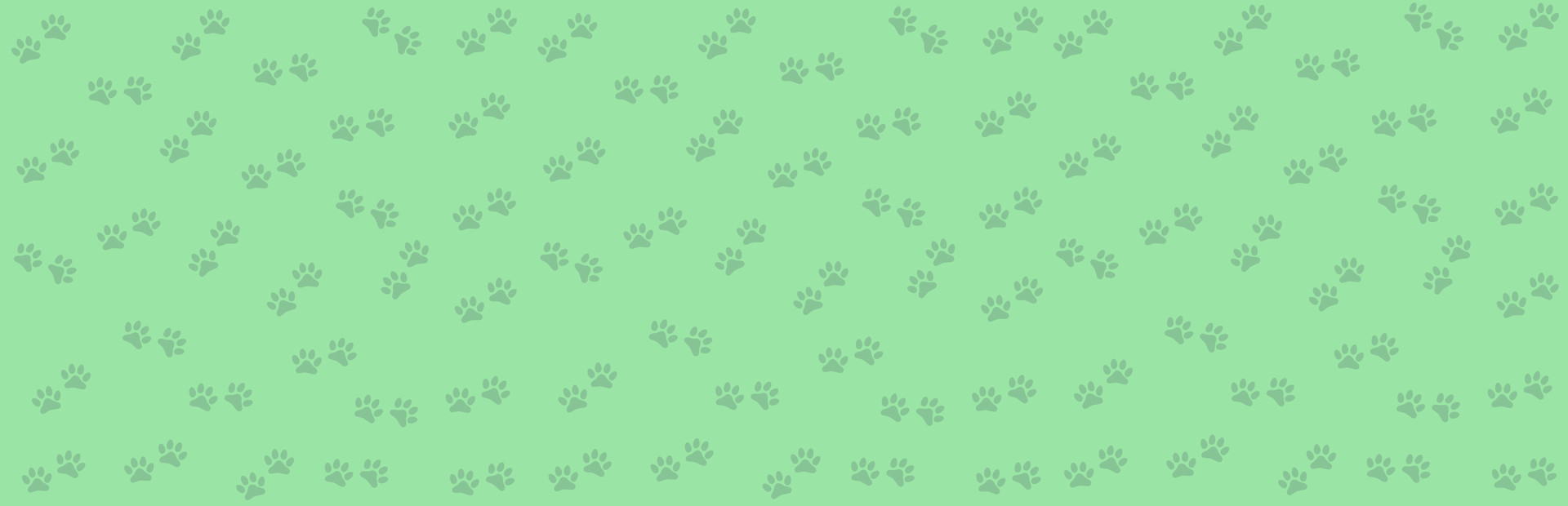 1001 Jigsaw. Cute Cats 2 cover image
