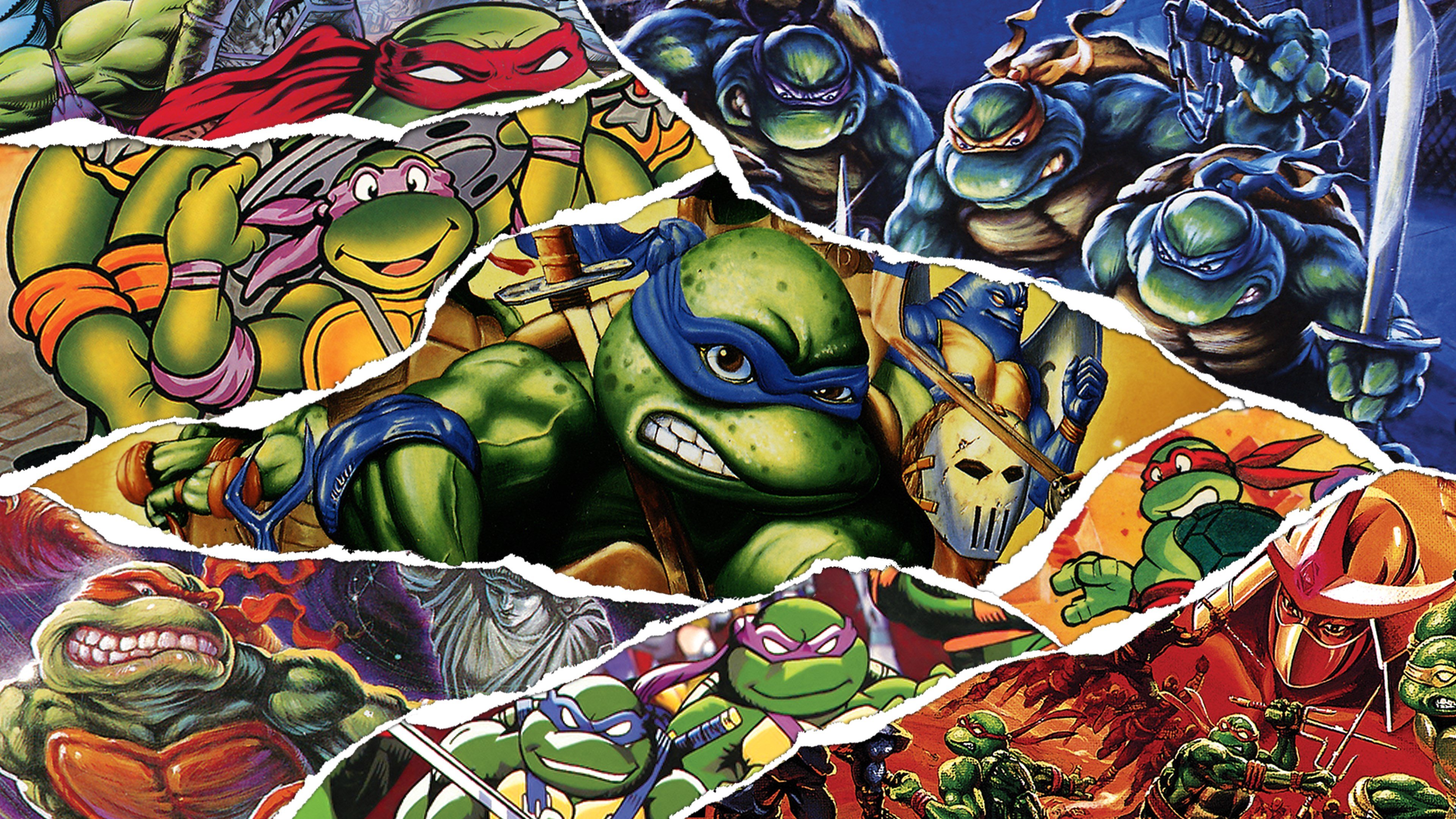 Teenage Mutant Ninja Turtles: The Cowabunga Collection cover image