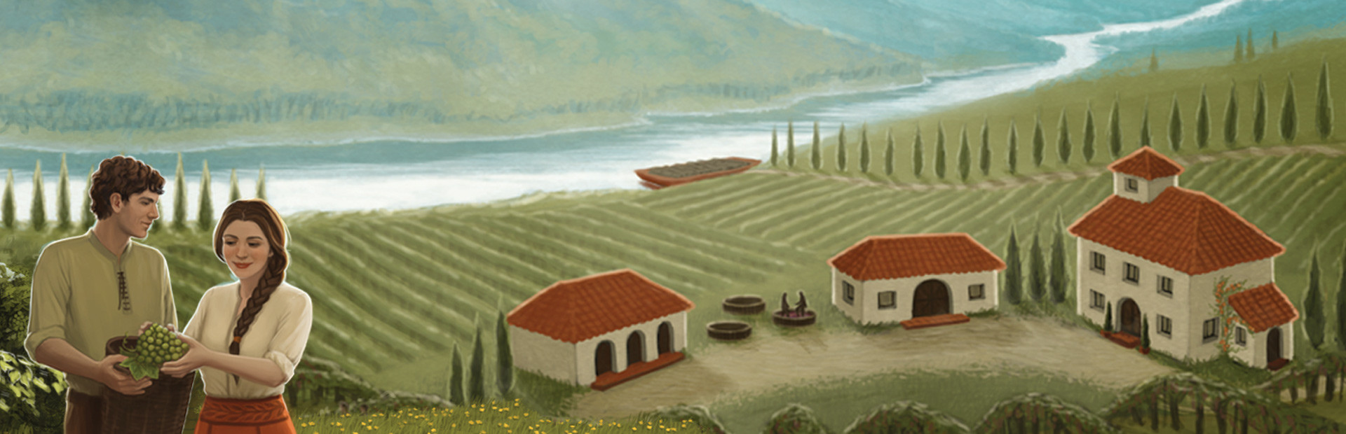 Viticulture Essential Edition cover image