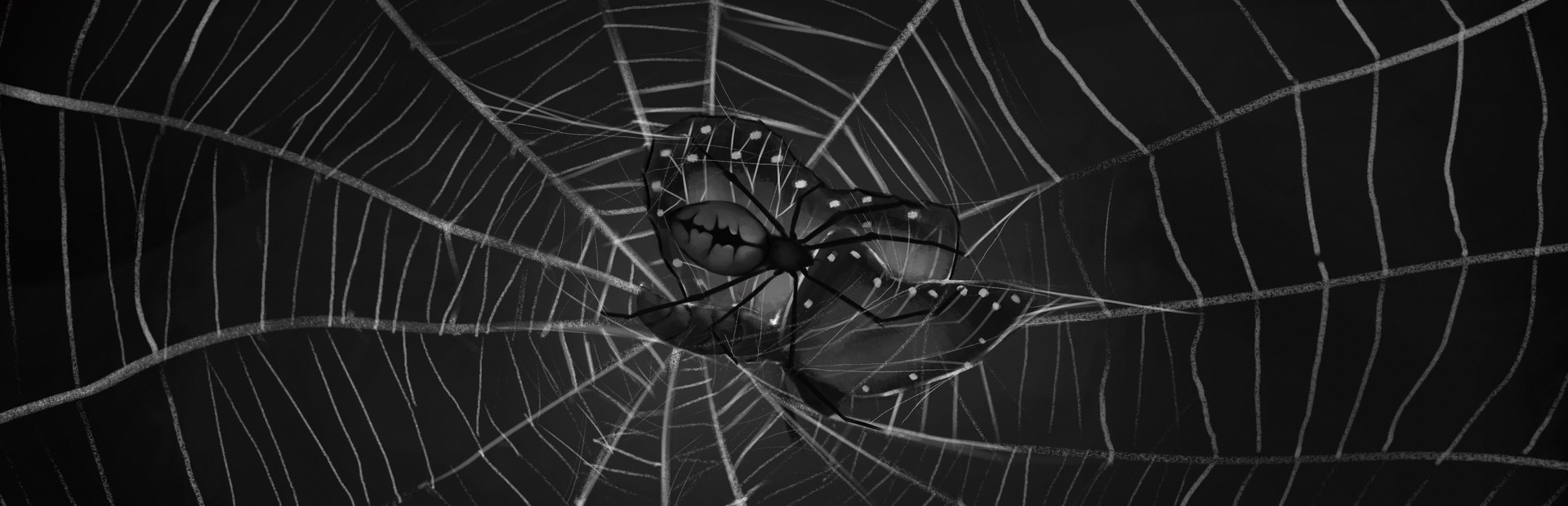 Paramnesia cover image