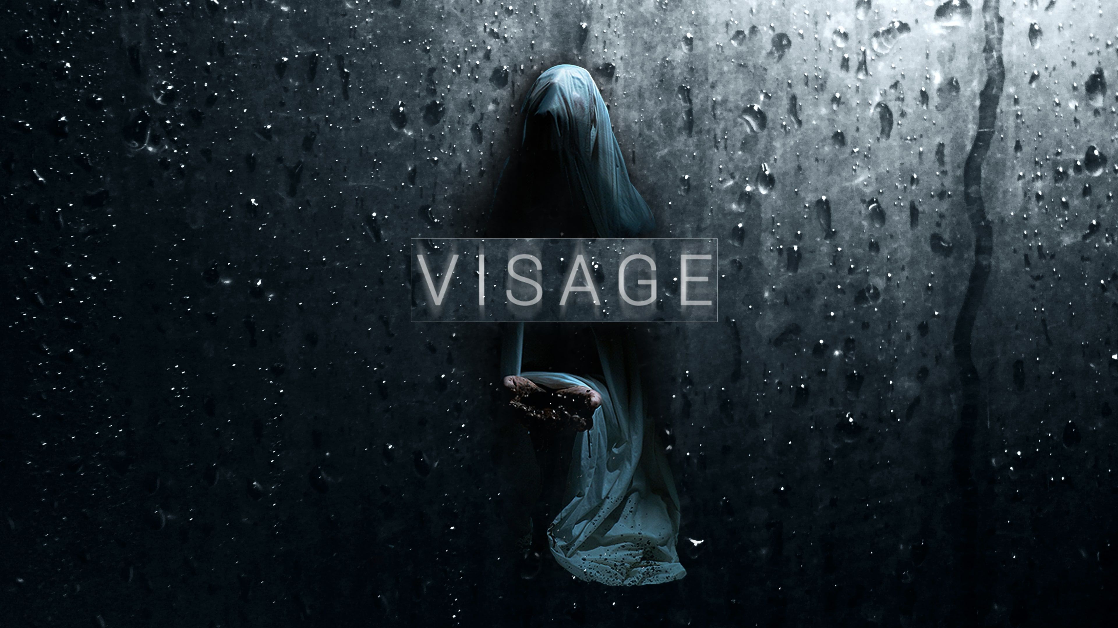 Visage cover image