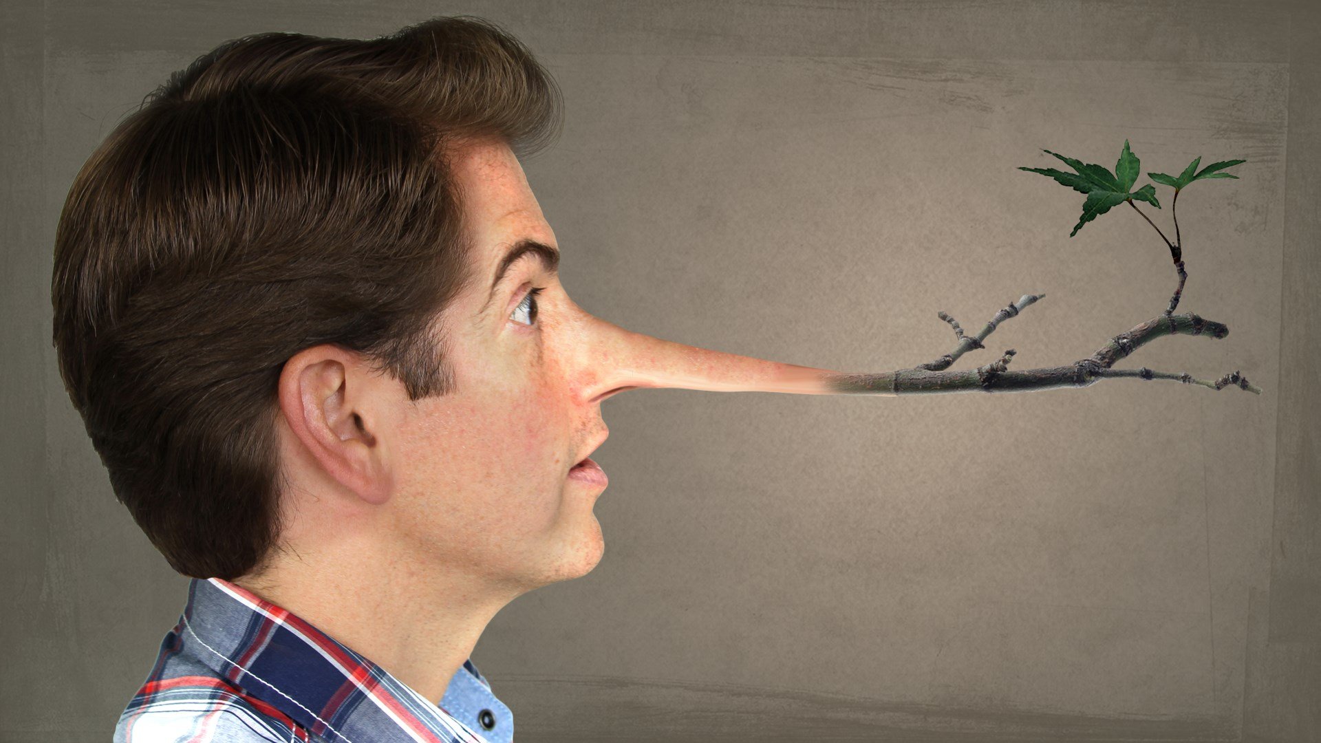 Fibbage: The Hilarious Bluffing Party Game cover image