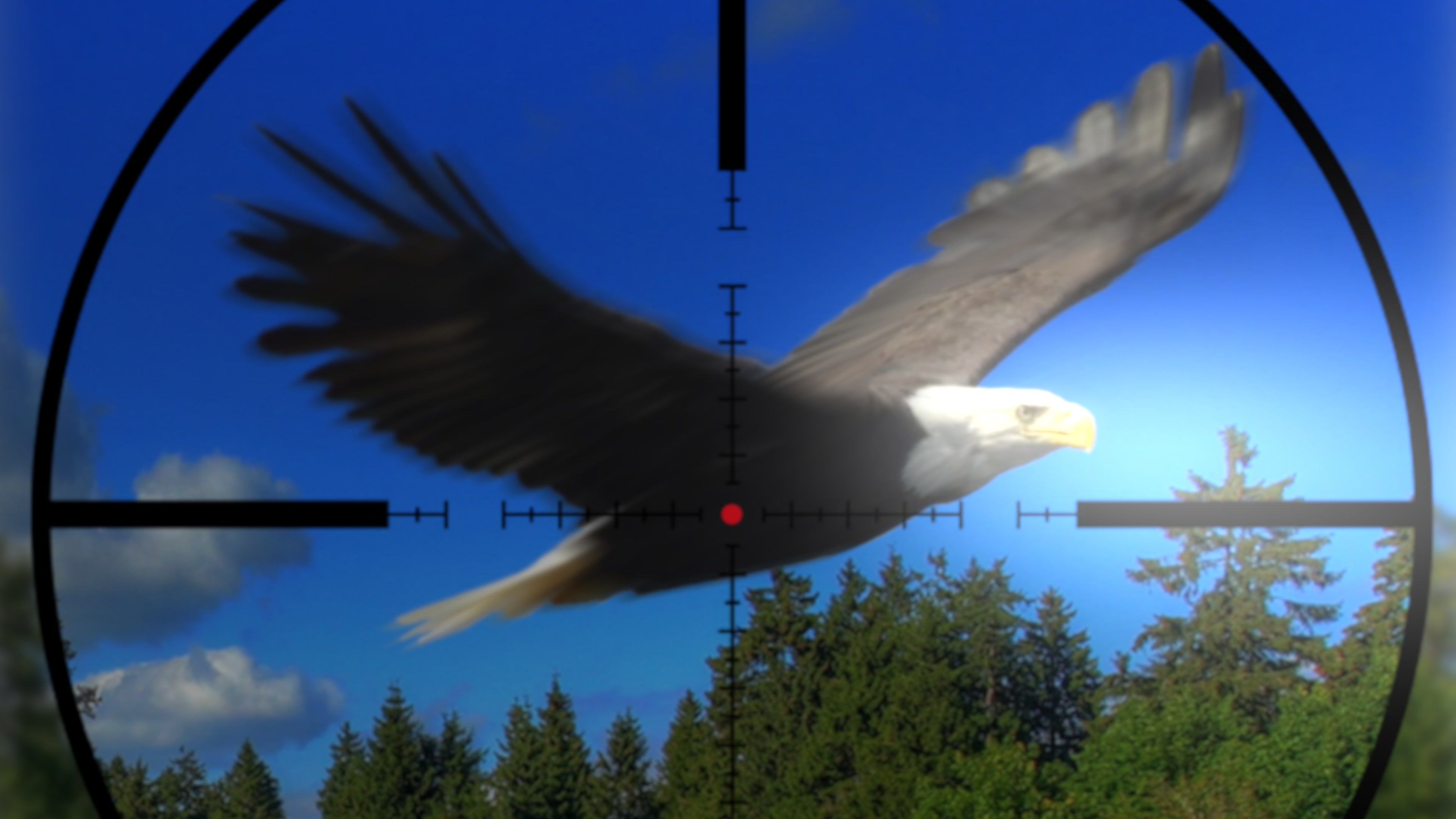America Wild Hunting cover image
