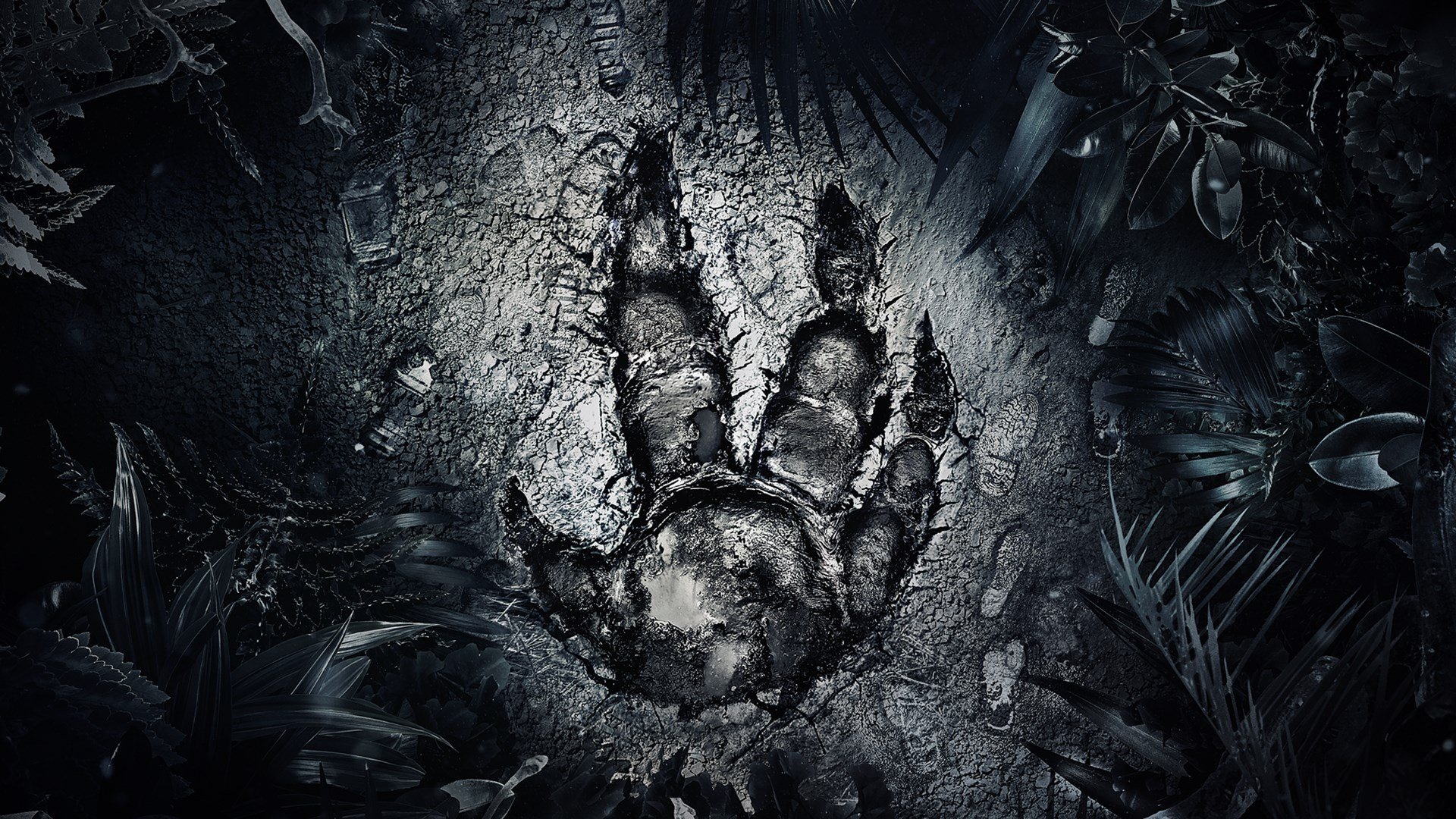 Evolve cover image