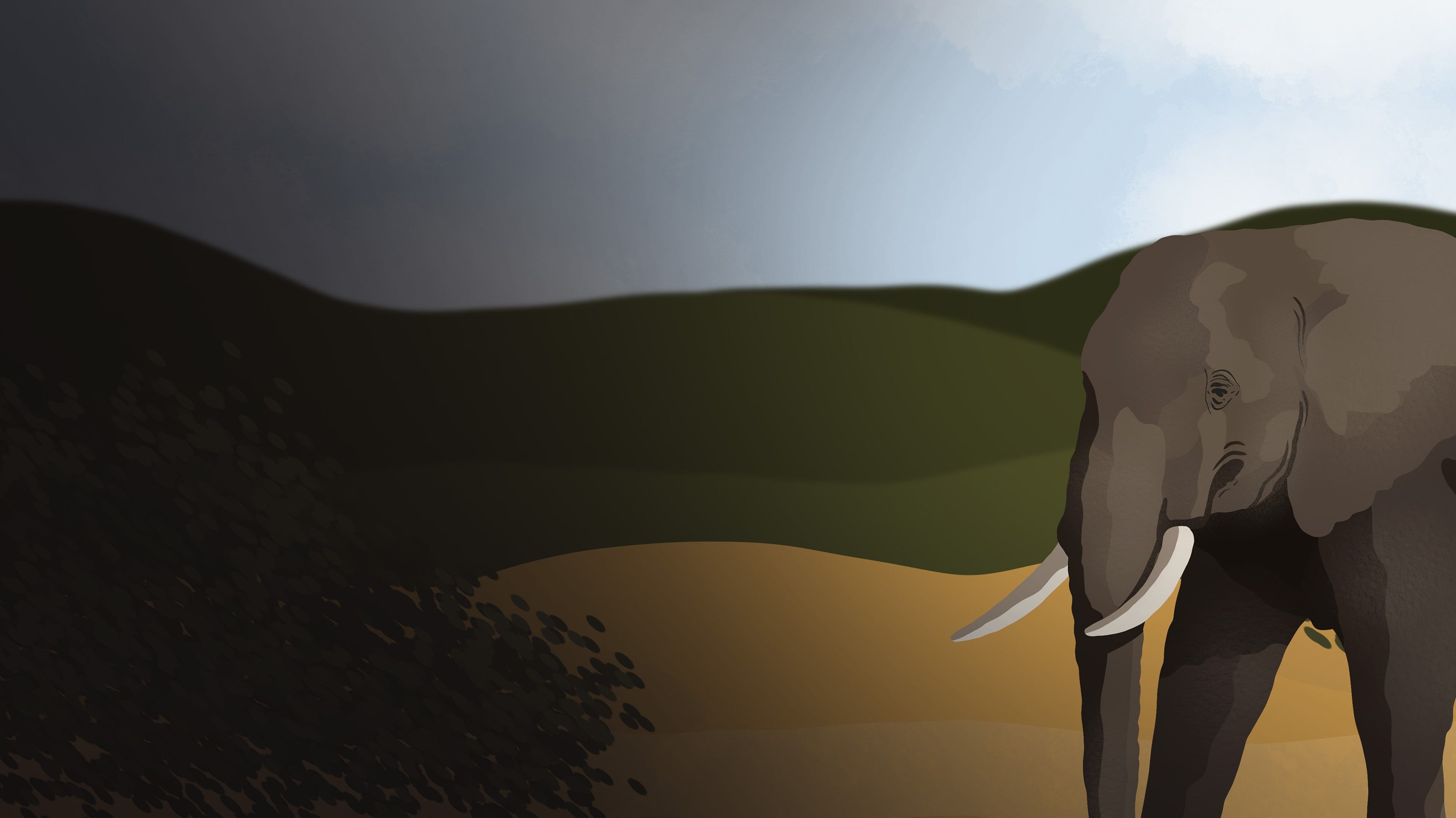 The Elephant E cover image
