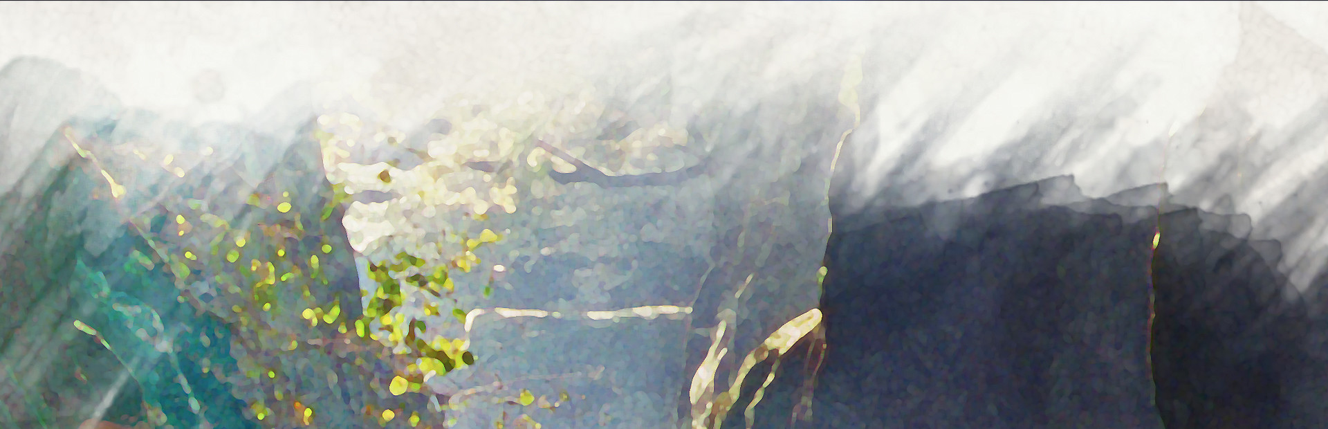 天师 cover image