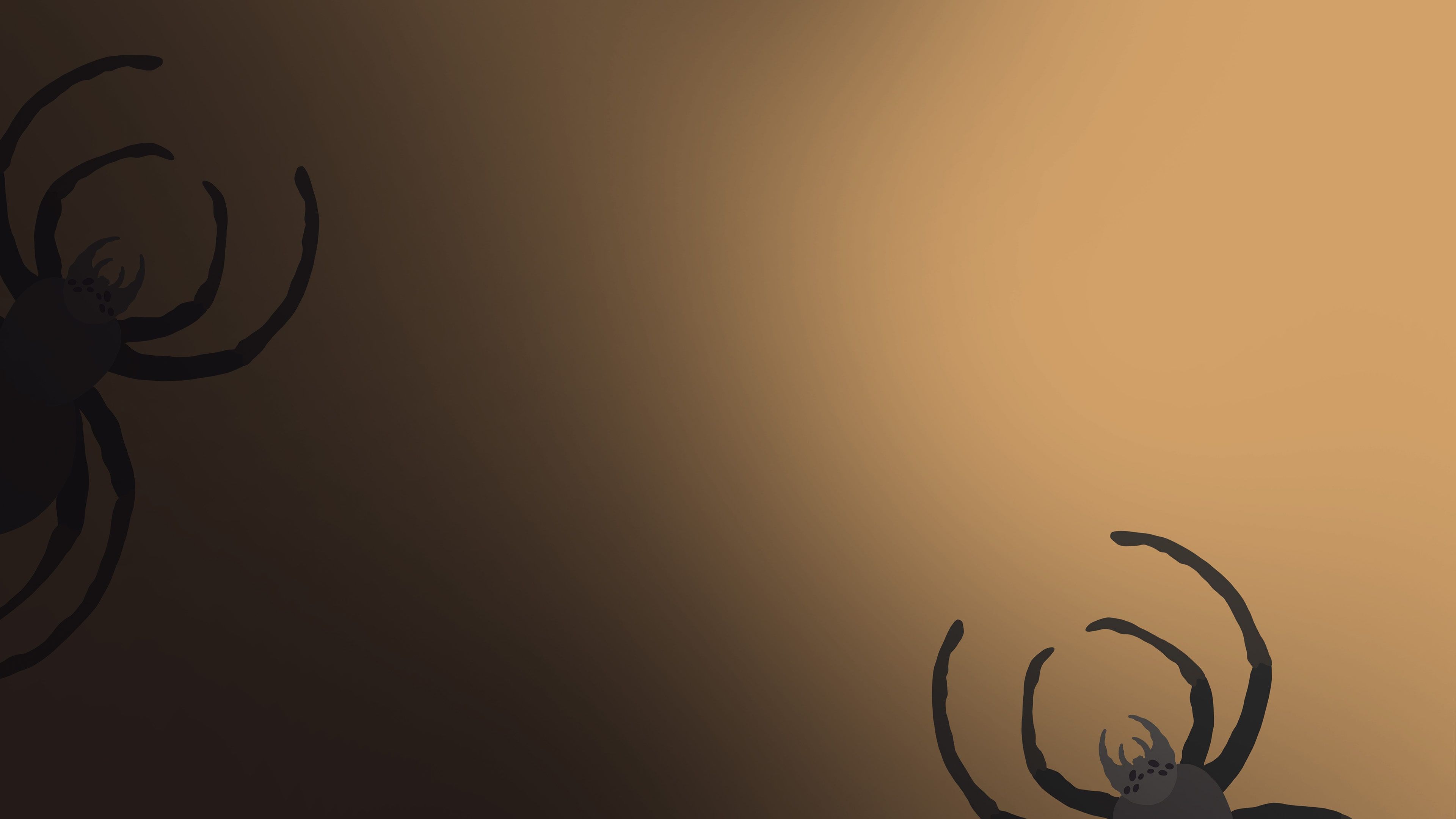 The Spidy Quiz cover image