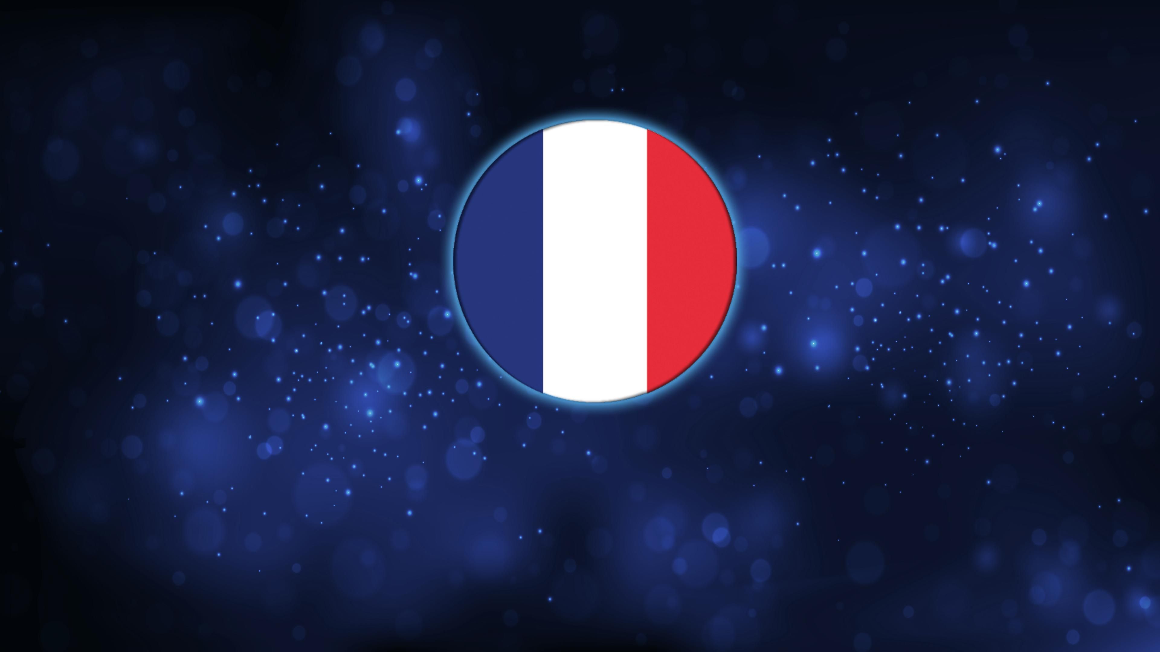 Quiz Thiz France: Bronze Editon cover image