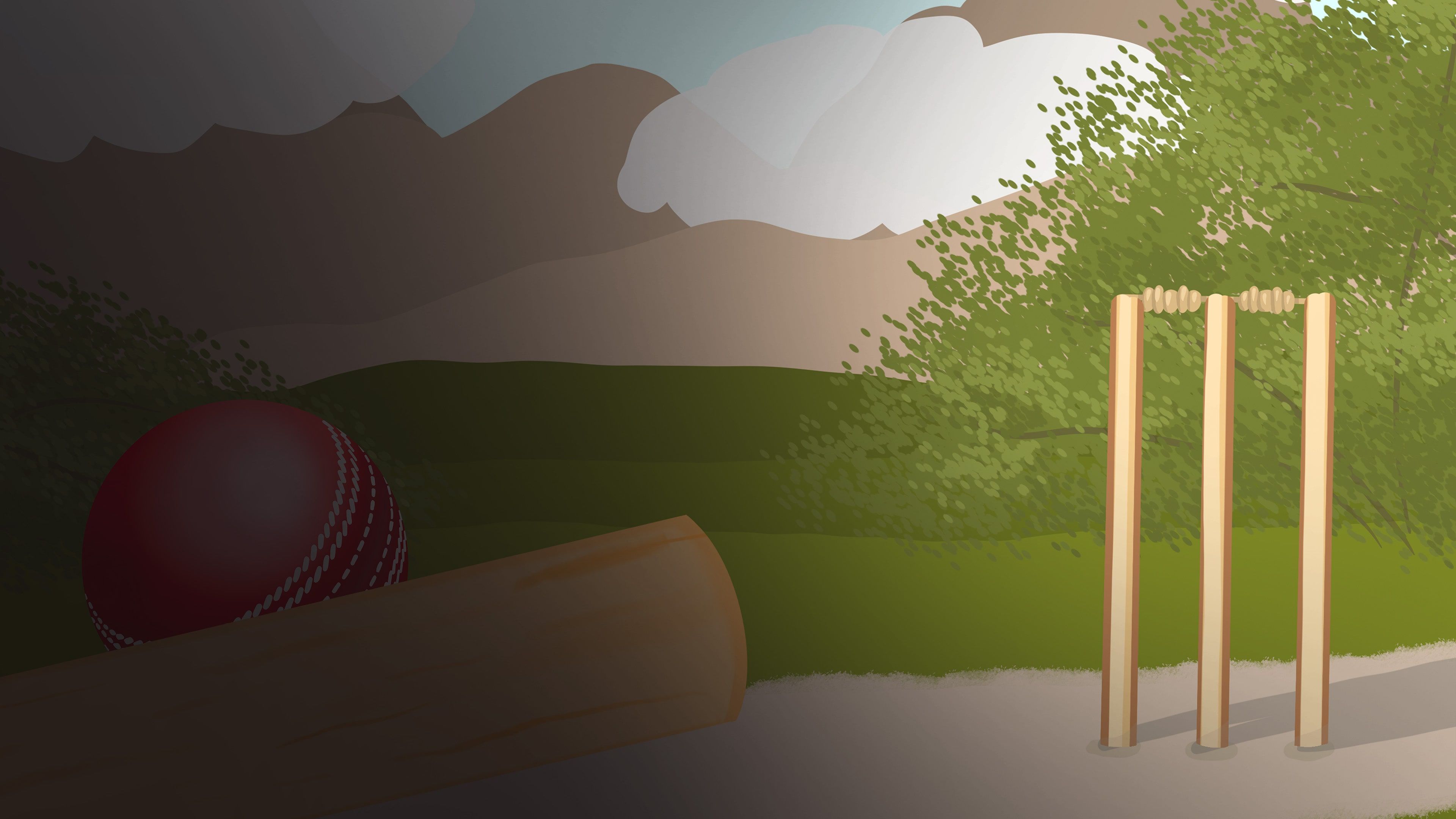 The Cricket C cover image