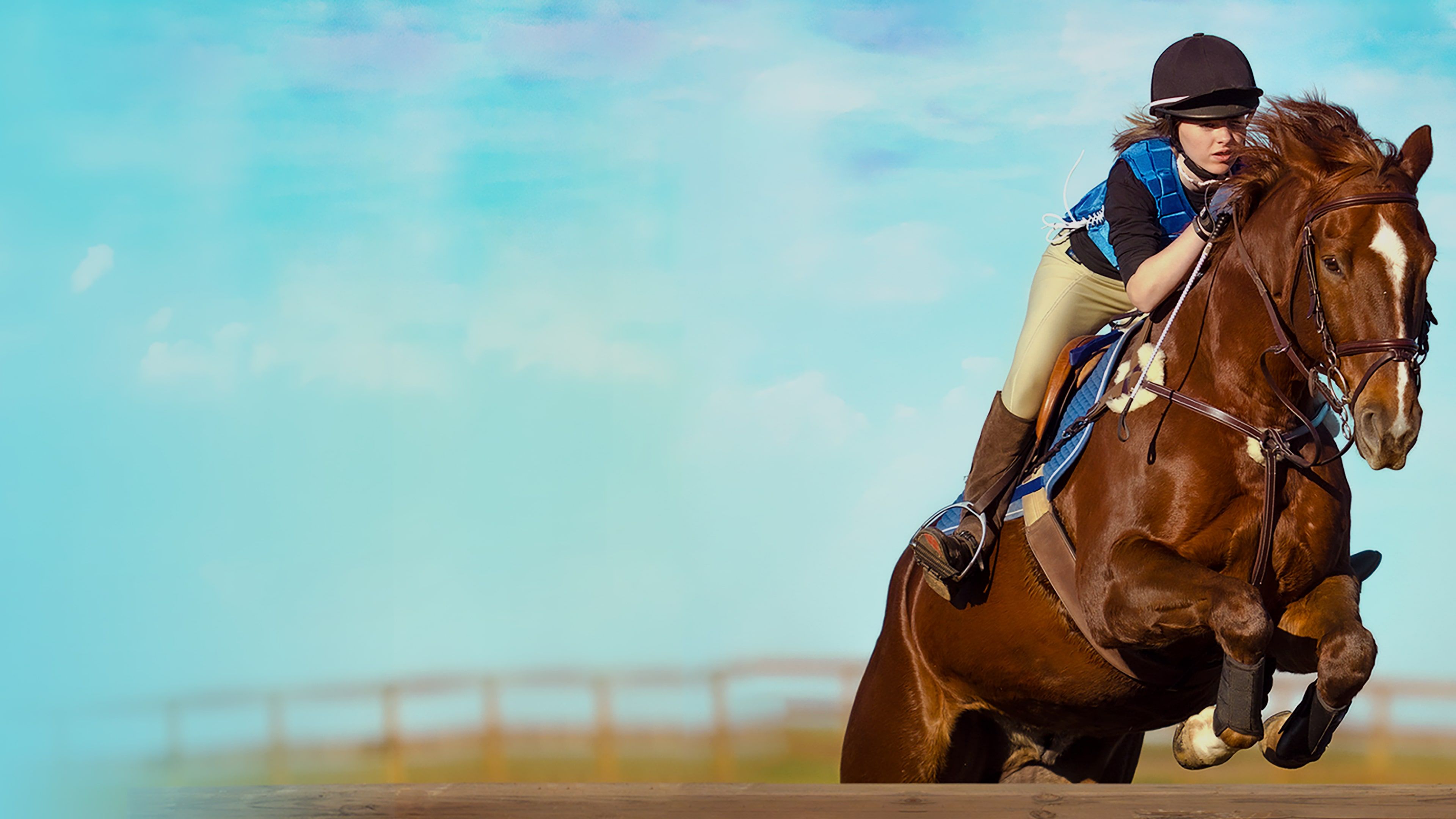 Equestrian Training cover image